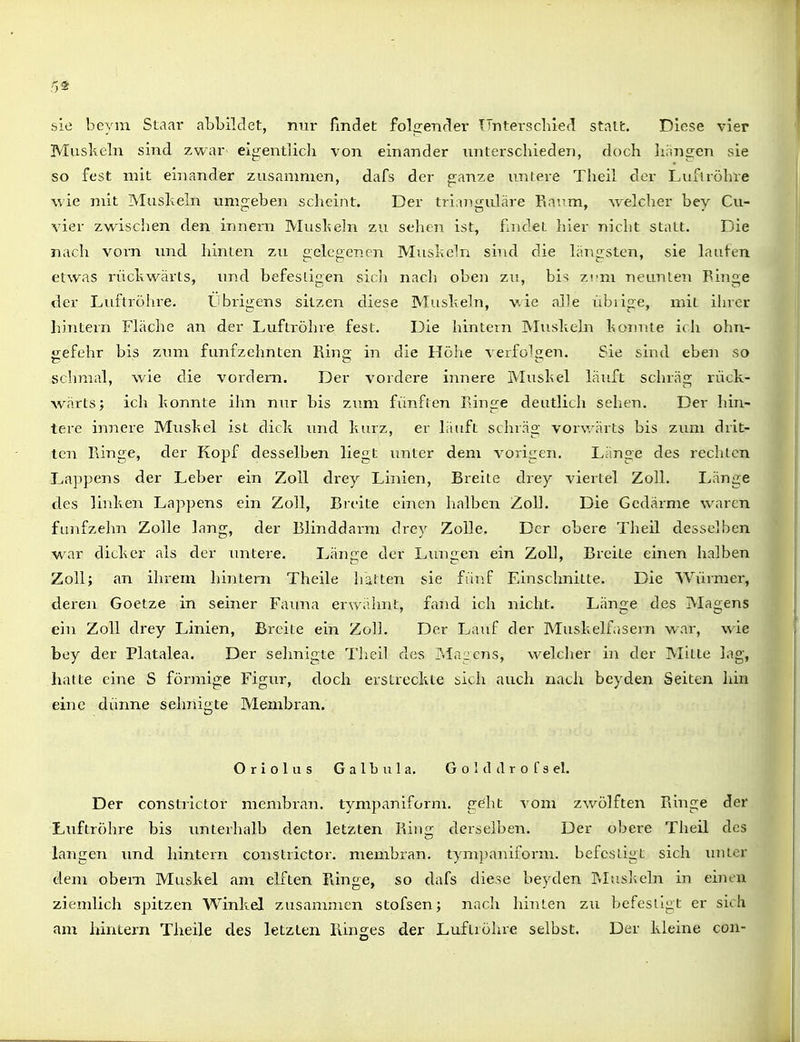 sie beym Staar abbildet, mir findet folfrendei- TTrjtei-schied statt. Diese vier Muskeln sind zwar eigentlich von einaiider unterschieden, doch hangen sie so fest mit einander zusammen, dafs der ganze untere Theil der Luftröhre wie mit Mushein umgeben scheint. Der triangidäre Ra'.^m, welcher bey Cu- vier zwischen den innern Mushehi zu sehen ist, f.ndet liier nicht statt. Die nach vom und hinten zu gelegenen Mushein sind die längsten, sie lauten etwas rücliwärts, und befestigen sich nach oben zu, bis zrm neunten Ringe der Luftröhre. Übrigens sitzen diese Musheln, wie alle iibiige, mit ihrer hintern Fläche an der Luftröhre fest. Die hintern Mushebi honnte ich ohn- eefehr bis zum fünfzehnten Ring in die Höhe verfolgen. Sie sind eben so schmal, wie die vordem. Der vordere innere Muskel läuft schräg rück- wärts; ich konnte ihn nur bis zimr fünften Ringe deutlich sehen. Der hin- tere innere Muskel ist dick und kurz, er läuft schräg vorwärts bis zum drit- ten Ringe, der Kopf desselben Hegt unter dem vorigen. Länge des rechten Lappens der Leber ein Zoll drey Linien, Breite drey viertel Zoll. Länge des linken Lappens ein Zoll, Breite einen halben Zoll. Die Gedärme waren fünfzehn Zolle lang, der Blinddarm drey Zolle. Der obere Theil desselben war dicker als der untere. Länge der Lungen ein Zoll, Breite einen halben Zoll; an ihrem hintern Theile hatten sie fünf Einschnitte. Die Würmer, deren Goetze in seiner Faima erwähnt, fand icli nicht. Länge des Magens ein Zoll drey Linien, Breite ein Zoll. Der Lauf der Muskelfasern war, wie bey der Platalea. Der sehnigte Theil des ?.Iai;cns, welcher in der Milte lag, hatte eine S förmige Figur, doch erstreckte sich auch nach beyden Seiten hin eine dünne sehnigte Membran. O r i 0 1 u s G a 1 b u 1 a. G o 1 tl d r o f 3 el. Der constrictor membran. tympaniform. geht vom zwölften Ringe der Luftröhre bis unterhalb den letzten Riufr derselben. Der obere Theil des langen imd hintern constrictor. membran. tympaniform. befestigt sich unter dem obem Muskel am elften Ringe, so dafs diese beyden Prluskeln in einen ziendich spitzen Winkel zusammen stofsen; nach hinten zu befestigt er sich am hintern Theile des letzten Ringes der Luftröhre selbst. Der kleine con-