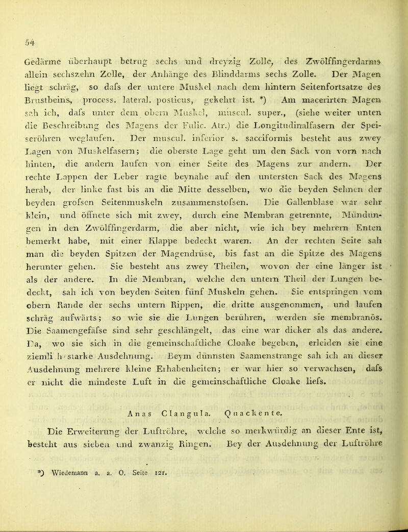 Gediirme überhaupt betrug- seclis mid flreyzi<j; Zolle, des ZwöIffingerdarHis allein secliszehn Zolle, dei- Anhange des Blinddarms sechs Zolle. Der JMagen liest schräg, so dafs der liniere IMuskel nach dem hintem Seitenfortsatze des Brustbeins, process. lateral, posticus, gel;ehrt ist. *) Am macerirten Magen sah ich, dafs unter cLem obern Pilushel, museal, super., (siehe v/eiter imten die Beschreibung des PJagens der Fiilic. Air.) die Longitudinalfasern der Spei- seröhren weglaufen. Der muscul. inferior s. sacciformis besteht a\is zwey Lagen A'on Muskelfasern; die oberste Lage geht um den Sach A'on vorn nach hinten, die andern laufen von einer Seite des Maidens zur andern. Der rechte Lappen der Leber ragte beynahc auf den xmtcrslcn Sack des Magens herab, der linke fast bis an die Mitte desselben, wo die beyden Sehnen der beyden grofscn Seitenmuskeln zusammenstofsen. Die Gallenblase war sehr klein, und öffnete sich mit zwey, durch eine Membran getrennte, Blündun- 2;en in den Zwölffingerdarm, die aber nicht, -\\de ich bey mehrern Enten bemerkt habe, mit einer Klappe bedeckt waren. An der rechten Seite sah man die beyden Spitzen der Magendrüse, bis fast an die Spitze des Magens herunter gehen. Sie besteht aus zwey Theilen, wovon der eine bänger ist als der andere. In die Membran, welche den untern Theil der Lungen be- deckt, sah ich von beyden Seiten fünf Bluskeln gehen. Sie entspringen vom obern Rande der sechs untern Flippen, die dritte ausgenommen, und laufen schräg aufwtärts; so wde sie die Lungen berühren, werden sie membranös. Die Saamengefäfse sind sehr geschlängelt, das eine war dicker als das andere. Da, wo sie sich in die gemeinschaftliche Cloake begeben, erleiden sie eine ziemlich siarke Ausdehnung. Beym dünnsten Saamenstrange sah ich an dieser Ausdehnung mehrere kleine Eihabenheitcn; er war hier so verwachsen, dafs er nicht die mindeste Luft in die gemeinschaftliche Cloake üefs, Anas C I a n g u I a. Q u a dt e n t e. Die Erweiterung der Luftröhre, welche so merkv.-iirdig an dieser Ente ist, besteht aus sitbeu und zwanzig Ringen. Bey der Ausdehnung der Luftröhre *^ Wiedemann a. a. 0, Seite i2x.
