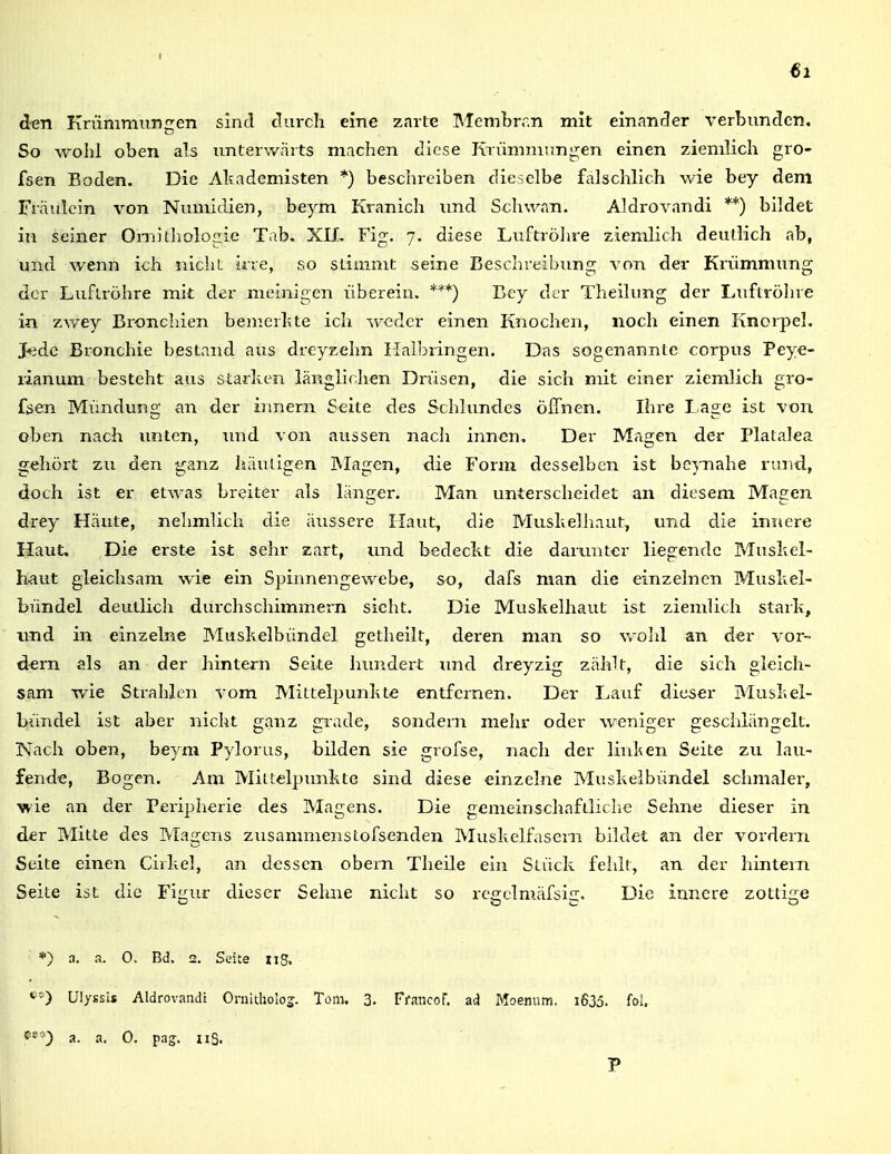 den Knimmiingen sind clurch eine zarte Membran mit einaiii3er verbunden. So wohl oben als imterwcärts machen diese Krümmungen einen ziemlich gro- fsen Boden, Die Al^ademisten *) beschreiben dieselbe fälschlich wie bey dem Fräulein von Numidien, beym Kranich imd Schwan. Aldrovandi **) bildet in seiner Ornithologie Tab. XU, Fig. 7. diese Luftröhre ziemlich deutlich ab, und wenn ich nicht irre, so stimmt seine Beschreibung von der Krümmung der Luftröhre mit der meinigen überein. Bcy der Theilung der Luftröhre in zwey Bronchien benierlue ich weder einen Knochen, noch einen Knorpel. Jede Bronchie bestand aus dreyzehn Halbringen. Das sogenannte corpus Peye- rianum besteht aus starken länglichen Drüsen, die sich mit einer ziemlich gro- fsen Münduno; an der innern Seite des Schlundes öffnen. Ihre La^e ist von oben nach unten, und von aussen nach innen. Der Magen der Platalea gehört zu den ganz häutigen Magen, die Form desselben ist bo^-nahe rund, doch ist er etwas breiter als länger. Man unterscheidet an diesem Magen drey Häute, nehmlich die äussere Haut, die Mushelhaut, und die innere Haut, Die erste ist sehr zart, und bedeckt die darunter liegende Musliel- haut gleichsam wie ein Spinnengewebe, so, dafs man die einzelnen Musliel- bVindel deutlicli durchschimmern sieht. Die Musltelhaut ist ziemlich stark, lind in einzelne Muskelbündel getheilt, deren man so Vvohl an der vor- d-ern als an der hintern Seite lumdert und dreyzig zählt, die sich gleich- sam wie Sti-ahlen vom Mittel^Junkte entfernen. Der Lauf dieser Musl.el- bündel ist aber nicht ganz grade, sondern mehr oder weniger geschlängelt. Nach oben, beym Pylorus, bilden sie grofse, nach der Hullen Seite zu lau- fende, Bogen. Am Mittelpunkte sind diese einzelne Muskeibündel schmaler, wie an der Peripherie des Magens. Die gemeinschaftliche Sehne dieser in der Mitte des Magens zusamnienstofsenden Muskelfasern bildet an der vordem Seite einen Cirkel, an dessen obern Theile ein Stück fehlt, an der hintern Seite ist die Figur dieser Sehne nicht so regclmäfsig. Die innere zottige *) a. a. 0. Bd. 2. Seite iig. Ulyssis Aldrovandi Oniitholoj. Tom. 3. FfaiicoF. ad Moenum. i63ö. fol. a. a. 0. pa^. nS. P