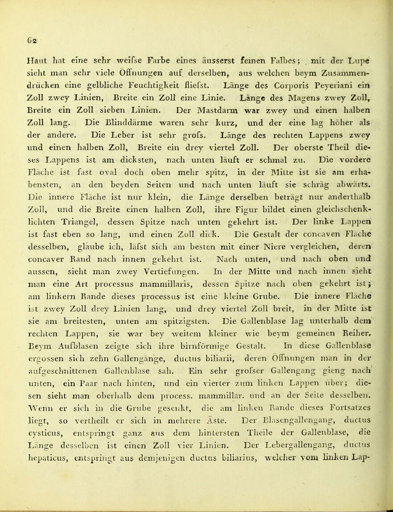 Haut hat eine sehr weifse Farbe eines äusserst feinen Falbes; mit der Lup« sielit man sehr viele Öffnungen auf derselben, aus welchen beym Zusammen- drücken eine gelbliche Feuchdglteit fliefst. Länge des Corporis Peyeriani ein Zoll zwey Linien, Breite ein Zoll eine Linie. Länge des Magens zwey Zoll, Breite ein Zoll sieben Linien. Der Mastdann war zwey und einen halben Zoll lang. Die Blinddärme waren sehr kurz, und der eine lag höher als der andere. Die Leber ist sehr grofs. Länge des rechten Lappens zwey und einen halben Zoll, Breite ein drey viertel Zoll. Der oberste Theil die- ses Lappens ist am dicl^sten, nach unten läuft er schmal zu. Die vordere Fläche ist fast oval doch oben mehr spitz, in der Mitte ist sie am erha- bensten, an den beyden Seiten und nach unten läuft sie schräg abwärts. Die innere Fläche ist nur klein, die Länge derselben beträgt nur anderthalb Zoll, imd die Breite einen halben Zoll, ihre Figur bildet einen gleichschenk- lichten Triangel, dessen Spitze nach xmten gekehrt ist. Der linke Lappen ist fast eben so lang, und einen Zoll dick. Die Gestalt der concaven Flache desselben, glaube ich, läfst sich am besten mit einer Niere vergleichen, deren concaver Rand nach innen gekehrt ist. Nach unten, imd nach oben imd aussen, sieht man zwey Vertiefungen. In der Mitte und nach innen sielit man eine Art processus mammillaris, dessen Spitze nach oben gekehrt ist; am linkern Rande dieses processus ist eine kleine Grube. Die innere Fläche ist zv/ey Zoll drey Linien lang, und drey viertel Zoll breit, in der Mitte ist sie am breitesten, tmten am spitzigsten. Die Gallenblase lag unterhalb dem rechten Lappen, sie war bey weitem kleiner wie beym gemeinen Reiher. Beym Aufblasen zeigte sich ihre birnförmige Gestalt. In diese Gallenblase ergossen sich zehn GaEengänge, ductus biliarii, deren Offnungen man in der aufgeschnittenen Gallenblase sah. Ein sehr grofser Gallengang gieng nach imten, ein Paar nach hinten, und ein vierter zum linken Lappen über; die- sen sieht man oberlialb dem process. mammillar. und an der Seite desselben. Wenn er sich in die Grube gesenkt, die am linken Rande dieses Fortsatzes liegt, so vertheilt er sich in mehrere Äste. Der Blasengallengang, ductus cysticus, entspringt ganz aus dem hintersten Theile der Gallenblase, die Länge desselben ist einen Zoll vier Linien. Der Lebergallengang, ductus hepaticus, entspriiigt aus demjenigen ductus biliarius, weither vom linken Lap-