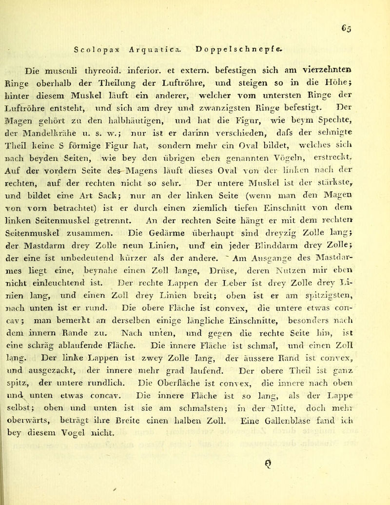 Scolopax Arguatica. Doppelschnepfe. Die mvisciLÜ thyreoid. inferior, et extern, befestigen sich am vierzelmtCB Ringe oberhalb der Theilung der Luftröhre, und steigen so in die Höhe; hinter diesem Muskel läuft ein anderer, welclier vom untersten Ringe der Luftröhre entsteht, und sich am drey vmd zwanzigsten Ringe befestigt. Der Magen gehört zu den halbhäutigen, und hat die Figur, wie beym Spechte, der Mandellirähe u, s. w.; nur i^t er darinn verscliieden, dafs der sehnigte Theil heine S förmige Figur hat, sondern mehr ein Oval bildet, welches sich nach beyden Seiten, wie bey den übrigen eben genannten Vögeln, erstrecht. Auf der vordem Seite des- Magens läuft dieses Oval von der liiil'.en nach der recliten, auf der rechten nicht so sehr» Der untere Mushel ist der stärhstCy und bildet eine Art Sack; nur an der linken Seite (wenn man den Magen von vorn betrachtet) ist er durch einen ziemlich tiefen Einschnitt von dem linken Seitenmuskel getrennt. An der rechten Seite hängt er mit dem rechlenr Seitennmskel zusammen. Die Gedärme überhaupt sind dreyzig Zolle langj der Mastdarm drey Zolle neun Linien, imd' ein jeder Blinddarm drey Zolle; der eine ist unbedeutend kürzer als der andere. ^ Am Ausgange des Mastdar- mes liegt eine, beynahe einen Zoll lange, Drüse, deren Nutzen mir eben nicht einleuchtend ist. Der rechte Lappen der Leber ist drey Zolle drey Li- nien lang, und einen Zoll drey Linien breit; oben ist er am spitzigsten, nach unten ist er rimd. Die obere Fläche ist convex, die untere etwas con- cav; man bemerkt an derselben einige längliche Einschnitte, besonders nach dem innern Rande zu. Nach im'ten, und gegen die rechte Seite hin, ist eine schräg ablaufende Fläche. Die innere Fläche ist schmal, und einen Zoll lang. Der linke Lappen ist zwey Zolle lang, der äussere Rand ist convex^ imd ausgezackt, der innere mehr grad laufend. Der obere Theil ist ganz spitz, der untere rundlich. Die Oberfläche ist convex, die innere nach oben und imten etwas concav. Die innere Fläche ist so lang, als der Lappe selbst; oben und imten ist sie am schmälsten; in der IMitte, doch mein oberwärts, beträgt ihre Breite einen halben Zoll. Eine Gallenblase fand ich bey diesem Vogel nicht.