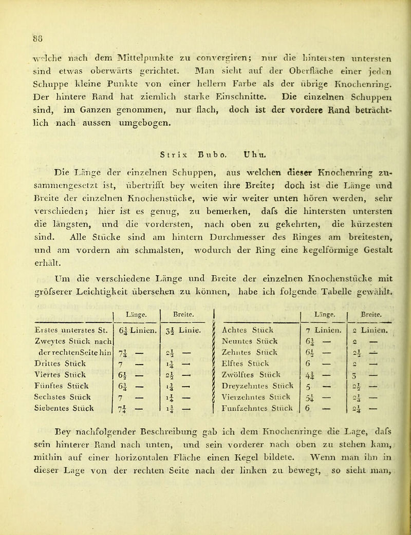 welche nach dem Mittelpimkte zu convergiren; nur die LiiiteK^ten imtcrsten sind etwas oLerwärts gerichtet. IMnii sielit auf der Oberfläche einer jeden Schuppe kleine Punlite von einer heilern Farbe als der übrige Knochenring. Der hintere Rand hat ziemlich starke Einschnitte. Die einzelnen Schuppen sind, im Ganzen genommen, nur flach, doch ist der vordere Rand beträcht- lich nach aussen umgebogen. S t r i X B u b 0. Uhu. Die Lange der einzelnen Schuppen, aus welchen dieser Knochenrlng zu- sammengesetzt ist, übertrifft bey weiten ihre Breite; doch ist die Länge imd Breite der einzelnen Knochenstücl?e, wie wir weiter unten hören werden, sehr verschieden; hier ist es genug, zu bemerken, dafs die hintersten untersten die längsten, und die vordersten, nach oben zu gekehrten, die kürzesten sind. Alle Stücke sind am hintern Durchmesser des Ringes am breitesten, und am vordem am schmälsten, wodurch der Ring eine kegelförnüge Gestalt erhält. Um die verschiedene Länge und Breite der einzelnen Knochenstücke mit gröfserer Leichtigkeit übersehen zu können, habe ich folgende Tabelle gewählt. Länge. Breite. | Länge. Breite. Erstes unterstes St. Zweytes Stück nach der rechtenSeite hin Drittes Stück Viertes Stück Fünftes Stück Sechstes Stück Siebentes Stück 6| Linien. 71 - 7 — 61 - 6i - 7 — 7i - 3§ Linie. ■1 ( - i - \ 1 Achtes Stück 1 Neuntes Stück ' Zelintes Stück 1 Elftes Stück 1 Zwölftes Stück 1 Dreyzehntes Stück ' Vierzehntes Stiick Fünfzehntes Stück 7 Linien. ö| - — G — 41 - 5 — 5i - 6 — c Linien. n - I 3 — n T 2 0 I ~a 01 -4 Bey nachfolgender Beschreibung gab ich dem Knochenringe die Lage, dafs sein hinterer Rand nach unten, und sein vorderer nach oben zu stehen kam, mithin auf einer horizontalen Fläclie einen Kegel bildete. Wenn man ihn in dieser Lage von der rechten Seite nach der linken zu bewegt, so sieht man,