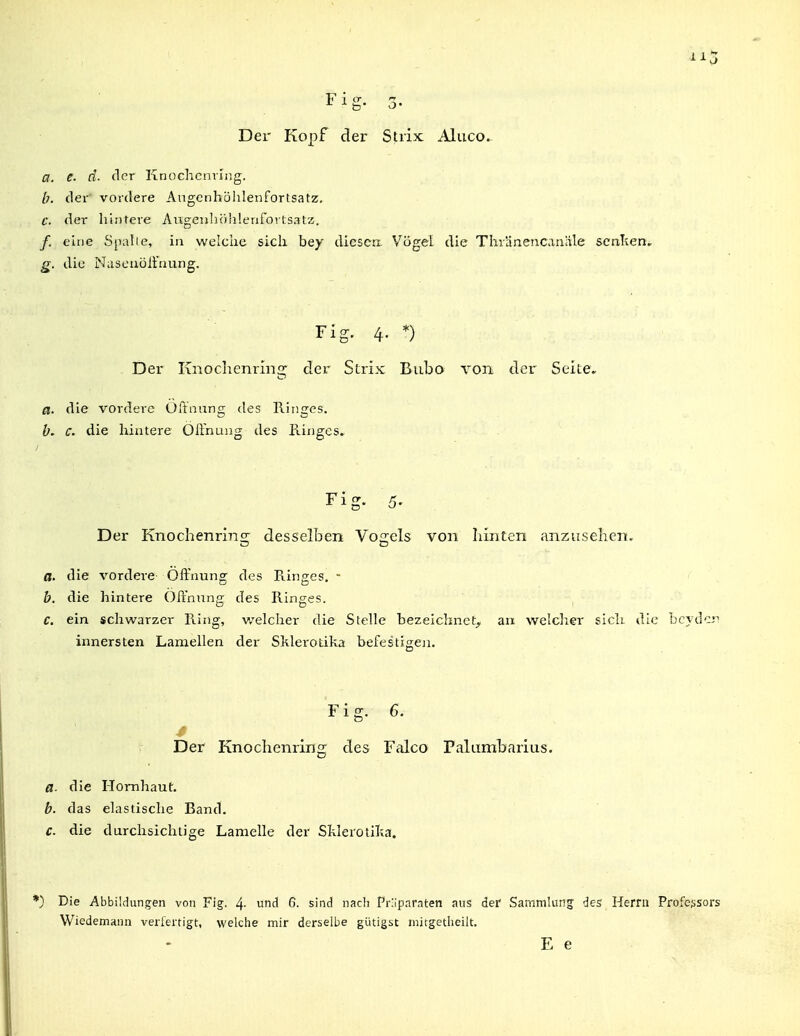 Fig. 3. Der Kopf der Stiix Aluco. a. e. d. der Knochcnriiig. /;. der vordere Angcnhölilenfortsatz. c. der hintere Aiigeulifihlenfovtsatz. /. eine Spalle, in welche sich bey diescix Vögel die Thr'dnencaniile seaTien, g. die Naseiiöltnung. Fig. 4. *) Der Knochenring der Slrix Bubo von der Seite. a. die vordere Oftnung des Ringes. If. c. die hintere OIFnung des Ringes. Fi-. Der Knochenriiis: desselben Vogels von hinten anzusehen. a. die vordere Öffnung des Ringes. - b. die hintere Öffnung des Ringes. C. ein schwarzer Ring, v/elcher die Stelle bezeichnet^ an welcher sich die bcydcr innersten Lamellen der Sklerotika befestigeji. Fig. 6. Der Knochenring des Falco Palumharius. a- die Hornhaut. b. das elastische Band. c. die durchsichtige Lamelle der Sklerotilia. *) Die Abbildungen von Fig. 4- und 6. sind nacli Präparaten aus der Sammlung des Herrn Professors WiedeiüHnn verfertigt, welche mir derselbe gütigst mitgetlieilt. E e