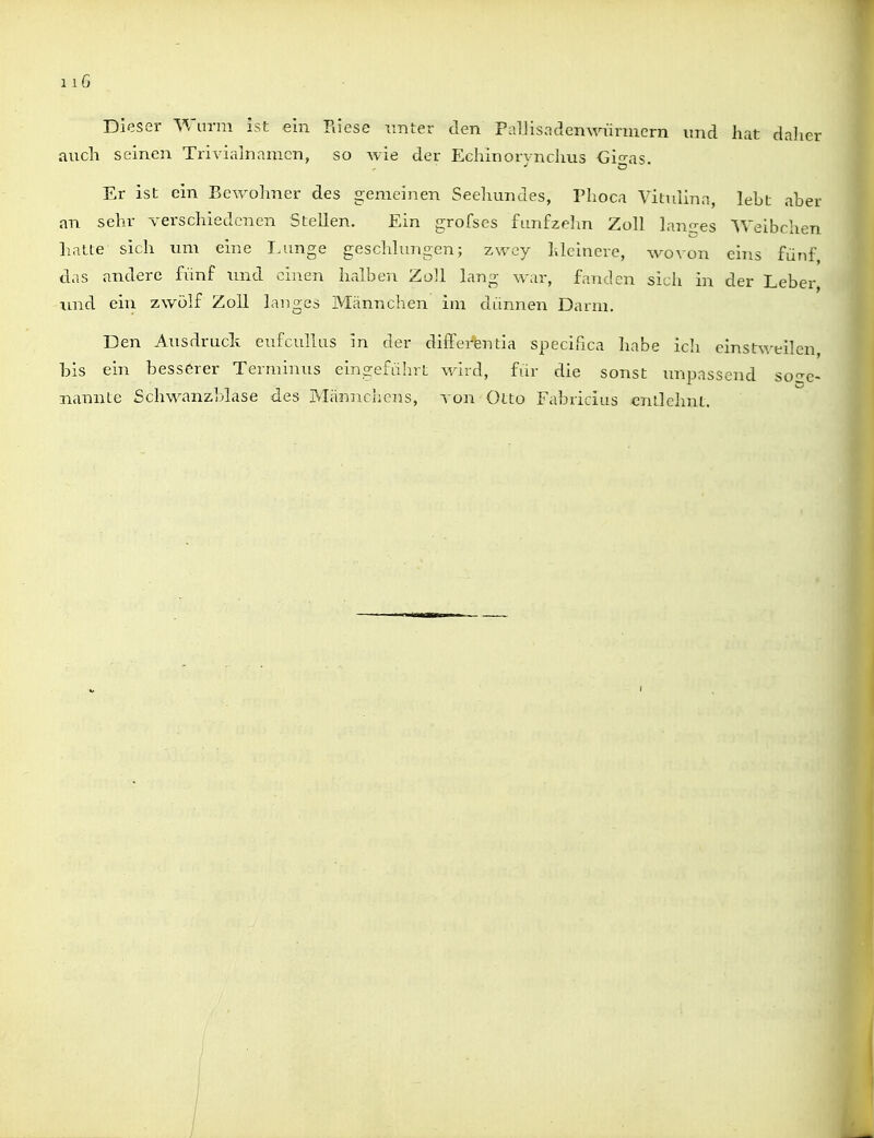 Dieser Warm Ist ein Biese unter den PiilJisndenwüruicrn und hat daher auch seinen Trivialnamcn, so wie der Echinorvnchus <3io-as Er ist ein Ecwolmer des gemeinen Seehundes, Phoca Vitulina, lebt aber an sehr verschiedenen Stellen, Ein grofses fünfzehn Zoll lan.fres Weibclien hatte sich um eine Lunge geschlungen; zwey hlcinere, wovon eins fünf, das andere fünf und einen halben Zoll lang war, faiulen sich in der Leber, lind ein zwölf Zoll langes Männchen im dünnen Darm. Den Ausdruclx eufcuUus in der differentia specifica habe ich einstweilen, bis ein besserer Terminus eingeführt wird, für die sonst unpassend Sü2:e- nannte Schwanzblase des Männchens, von Otto Fabricius entlehnt.