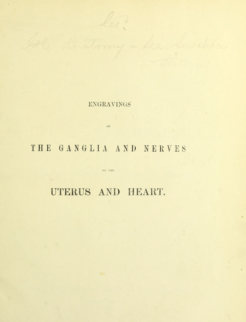 OF THE G A N G L U AND NERVE OF THi: UTERUS AND HEART.