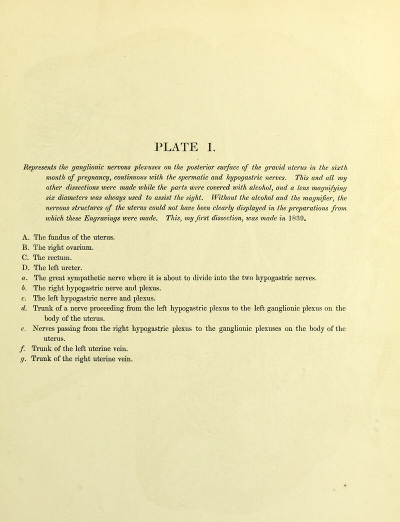 PLATE 1. Represents the ganglionic nervous plexuses on the posterior surface of the gravid uterus in the sixth month of pregnancy, continuous with the spermatic and hypogastric nerves. This and all my other dissections were made while the parts were covered with alcohol, and a lens magnifying six diameters was always used to assist the sight. Without the alcohol and the magnifier, the nervous structures of the uterus could not have been clearly displayed in the preparations from which these Engravings were made. This, my first dissection, was made in 1839. A. The fundus of tlie uterus. B. The right ovarium. C. The rectum. D. The left ureter. a. The great sympathetic nerve where it is about to divide into the two hypogastric nerves. h. The right hypogastric nerve and plexus. c. The left hypogastric nerve and plexus. d. Trunk of a nerve proceeding from the left hypogastric plexus to the left ganglionic plexus on the body of the uterus. e. Nerves passing from the right hypogastric plexus to the ganglionic plexuses on the body of the uterus. /. Trunk of the left uterine vein. g. Trunk of the right uterine vein.