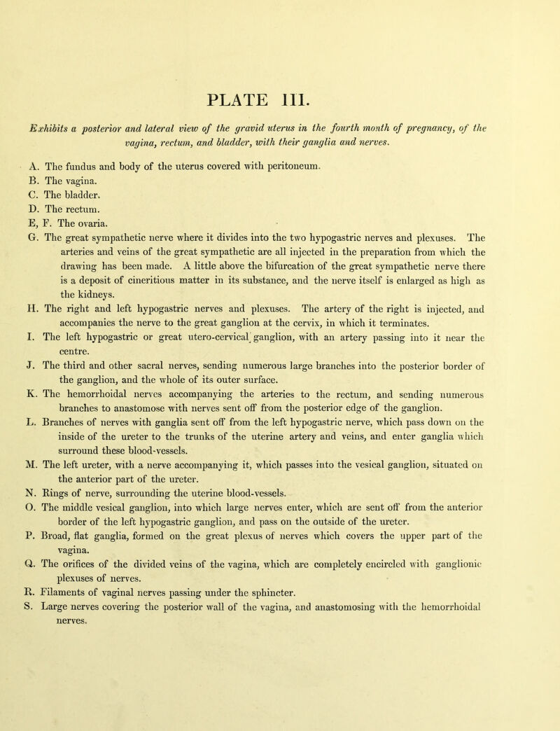 Exhibits a posterior and lateral view of the gravid uterus in the fourth month of pregnancy, of the vagina, rectum, and bladder, with their ganglia and nerves. A. The fundus and body of the uterus covered with peritoneum. B. The vagina. C. The bladder. D. The rectum. E. F. The ovaria. G. The great sympathetic nerve where it divides into the two hypogastric nerves and plexuses. The arteries and veins of the great sympathetic are all injected in the preparation from which the drawing has been made. A little above the bifurcation of the great sympathetic nerve there is a deposit of cineritions matter in its substance, and the nerve itself is enlarged as high as the kidneys. H. The right and left hypogastric nerves and plexuses. The artery of the right is injected, and accompanies the nerve to the great ganglion at the cervix, in which it terminates. I. The left hypogastric or great utero-cervicaf ganglion, with an artery passing into it near the centre. J. The third and other sacral nerves, sending numerous large branches into the posterior border of the ganglion, and the whole of its outer surface. K. The hemorrhoidal nerves accompanying the arteries to the rectum, and sending numerous branches to anastomose with nerves sent off from the posterior edge of the ganglion. L. Branches of nerves with ganglia sent off from the left hypogastric nerve, which pass dowm on the inside of the ureter to the trunks of the uterine artery and veins, and enter ganglia which surround these blood-vessels. M. The left ureter, with a nerve accompanying it, which passes into the vesical ganglion, situated on the anterior part of the ureter. N. Bings of nerve, surrounding the uterine blood-vessels. O. The middle vesical ganglion, into which large nerves enter, which are sent off from the anterior border of the left hypogastric ganglion, and pass on the outside of the ureter. P. Broad, flat ganglia, formed on the great plexus of nerves which covers the upper part of the vagina. Q. . The orifices of the divided veins of the vagina, which are completely encircled with ganglionic- plexuses of nerves. R. Filaments of vaginal nerves passing under the sphincter. S. Large nerves covering the posterior wall of the vagina, and anastomosing Avith the hemorrhoidal nerves.