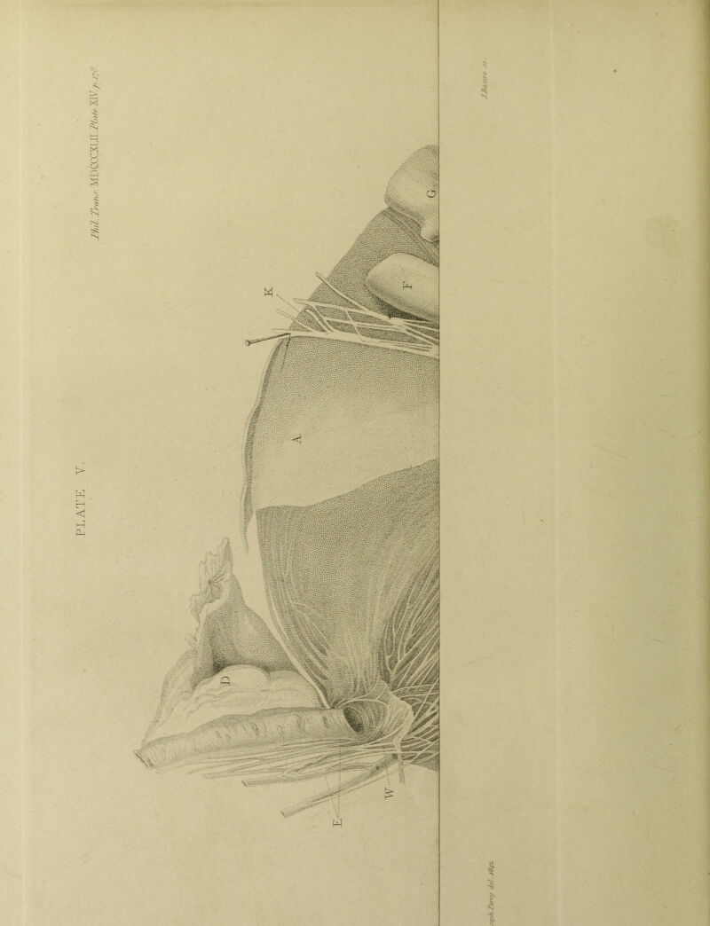 IhH Tran.^-. MnCCCXI.D-XIA’