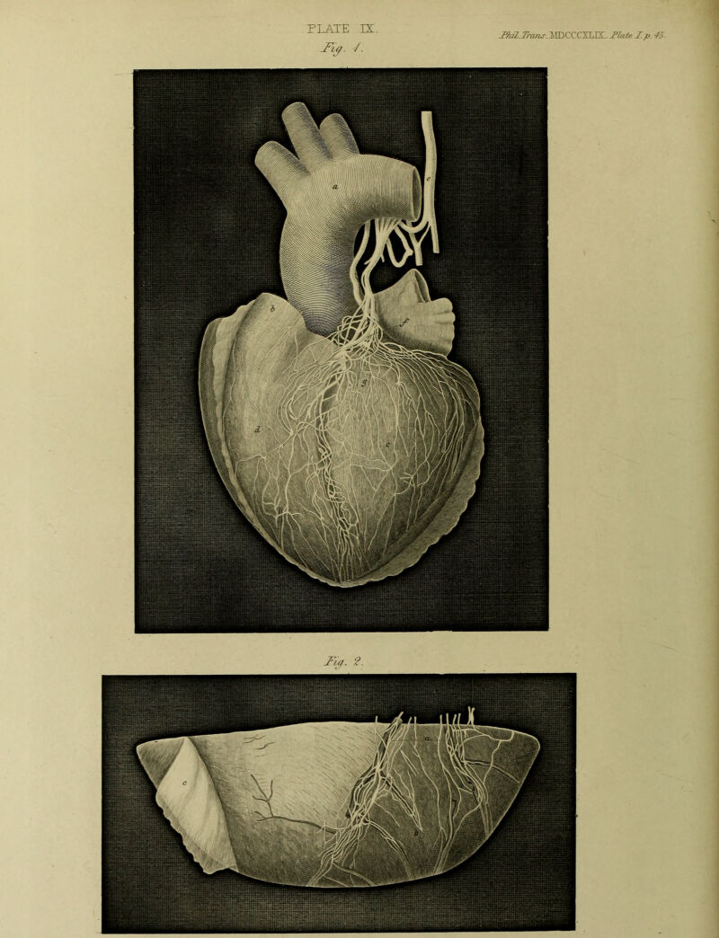 JTdl.TroThs. IIDCCCXLIXI. JPlate Z. p. 45- J'lq. /. Tia. ?.