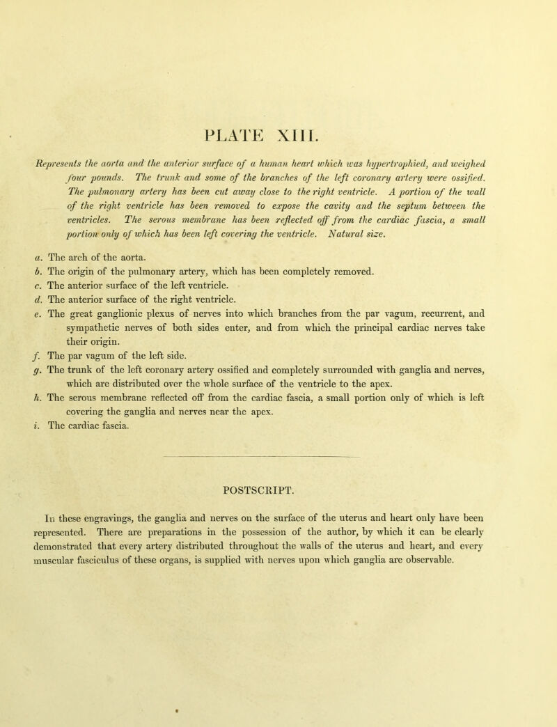 Represents the aorta and the anterior surface of a human heart which was hypertrophied, and weighed four pounds. The trunk and some of the branches of the left coronary artery were ossified. The pulmonary artery has been cut away close to the right ventncle. A portion of the wall of the right ventricle has been removed to expose the cavity and the septum between the ventricles. The serous membrane has been reflected off from the cardiac fascia, a small portion only of which has been left covering the ventricle. Natural size. a. The arch of the aorta. b. The origin of the pulmonary artery, which has been completely removed. c. The anterior surface of the left ventricle. d. The anterior surface of the right venti’icle. e. The great ganglionic plexus of nerves into which branches from the par vagum, recurrent, and sympathetic nerves of both sides enter, and from which the principal cardiac nerves take their origin. /. The par vagum of the left side. g. The trunk of the left coronary artery ossified and completely surrounded with ganglia and nerves, which are distributed over the whole sm’face of the ventricle to the apex. h. The serous membrane reflected off from the cardiac fascia, a small portion only of which is left covering the ganglia and nerves near the apex. i. The cardiac fascia. POSTSCRIPT. In these engravings, the gangha and nerves on the surface of the uterus and heai’t only have been represented. There are preparations in the possession of the author, by which it can be clearly demonstrated that every artery distributed throughout the walls of the uterus and heart, and every muscular fasciculus of these organs, is supplied with nerves upon which ganglia are observable.