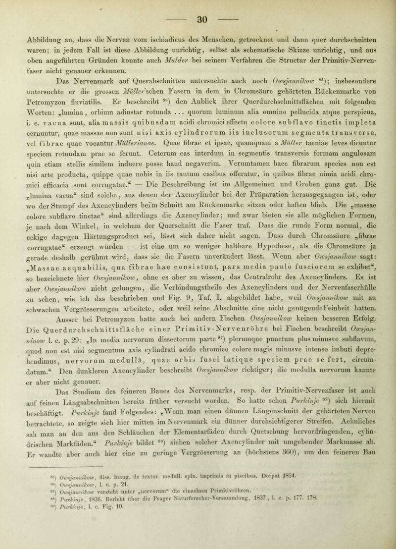 Abbildung an, dass die Xerven vom iscbladicus des Menschen, getrocknet und dann quer durchschnitten waren; in jedem Fall ist diese Abbildung unrichtig, selbst als schematische Skizze unrichtig, und aus oben angeführten Gründen konnte auch Mulder hei seinem Verfahren die Structur der Primitiv-Nerven- faser nicht genauer erkennen. Das Nervenmark auf Querahschnitten untersuchte auch noch Oicsjannikow insbesondere untersuchte er die grossen Miillerschcn Fasern in dem in Chromsäure gehärteten Eückcmnarkc von Petromyzon fluviatilis. Er beschreibt den Anblick ihrer Querdurchschnittsflächen mit folgenden Worten: „liimiua, orhium adiustar rotunda ... quorum luminum alia omnino pellucida atque pcrsplcua, i. e. vacua sunt, aliamassis quihusdam acidi chromici effectu colore suhflavo tinctls inipleta ceruuutur, quae massae non sunt nisi axis cyllndrorum ils iuclusorum segmenta transversa, vcl fihrae quae vocantur d/M^Ar«a?iae. Quae fihrae et ipsae, quamquam ?i Müller tacniae leves dicuutur speclem rotundain prae se ferunt. Ceterum eas interdum in segmentis transversis formam angulosam quin etiam stellis similem induere posse haud negaverim. Verumtamen haec fibrarum species non est nisi arte producta, quippe quae nobis in iis taiitum casibus offcratur, in quihus flhrae nimia acidi chro- inici efficacia sunt corrugatae.“ — Die Beschreibung ist im Allgemeinen und Groben ganz gut. Die „luuiina vacua“ sind solche, aus denen der Axcncyliuder bei der Präparation herausgegaugen ist, oder wo der Stumpf des Axencylinders bei’m Schnitt am Rückemnarke sitzen oder haften blieb. Die „massae colore subflavo tinctae“ sind allerdings die Axencylinder; und zwar bieten sie alle möglichen Formen, je nach dem Winkel, in welchem der Querschnitt die Faser traf. Dass die runde Form normal, die eckige dagegen llärtungsproduct sei, lässt sich daher nicht sagen. Dass durch Chroinsäure „fihrae corrugatae“ erzeugt würden — ist eine um so weniger haltbare Hypothese, als die Chromsäure ja gerade deshalb gerühmt wird, dass sie die Fasern unverändert lässt. V'enn aber Oicsjannikow sagt: „Massae aequabilis, qua fibrac hae consistunt, pars nicdia paulo fusciorem sc exhibet“, so bczeichnete hier Oicsjannikow, ohne es aber zu wissen, das Ccntralrohr des Axencylinders. Es ist aber Oicsjannikow nicht gelungen, die Vcrblnduugsthcile des Axencylinders und der Nervenfaserhülle zu sehen, wie ich das beschrieben und Fig. 1), Taf. I. abgcbildet habe, weil Oicsjannikow mit zu schwachen Vergrösscrungen arbeitete, oder weil seine Abschnitte eine nicht genügendeFeinheit hatten. Ausser bei Petromyzon hatte auch bei andern Fischen Oicsjannikow keinen besseren Erfolg. Die Querdurchschnittsfläche einer Primitiv-Nervenröhre bei Fischen beschreibt Owsjan- ninow 1. c. p. 29: „Tn media nervorum dissectorum parte ®') plerumque punctum plus minusve subflavum, quod non est nisi segmentum axis cylindrati acido chromico colore magis minusve intenso imbuti depre- hendimus, nervorum mcdullä, quae orbis fusci latique spccicm prae se fert, circum- datum.“ Den dunkleren Axencylinder beschreibt Oicsjannikow richtiger; die medulla nervorum kannte er aber nicht genauer. Das Studium des feineren Ikues des Nervenmarks, resp. der Primitiv-Nervenfaser ist auch auf feinen Längsabschnitten bereits früher ver.sucht worden. So hatte schon Purkinje sich hiermit beschäftigt. Purkinje fand l'olgendes: „Wenn man einen dünnen Läugensehnitt der gehärteten Nerven betrachtete, so zeigte sich hier mitten im Nervenmark ein dünner durchsichtigerer Streifen. Aehnliches sah man au den aus den Schläuchen der Elemcntarfäden durch Quetschung hcrvordringendeii, cylin- drischen Markfäden.“ Purkinje bildet sieben solcher Axencylinder mit umgebender !Markmassc ab. Er wandte aber auch hier eine zu geringe Vergrösserung an (höchstens 3G0), um den feineren Bau “) Oimjnnnilotr, diss. inaug. de textur. medull. spin. imprimis in piscibus. Dorpat 11^54. *®i Oimjannil'ow, 1. c. p. 21. Oiegjannikov versteht unter „nervorum“ die einzelnen I’rimitivröhrcn. »*) Purkitye, 1K36. Bericht über die Prager Naturforscher-Versammlung, 1S37 , 1. c. p. 177. 17^. *•) Purkinje, 1. c. Fig. 10.