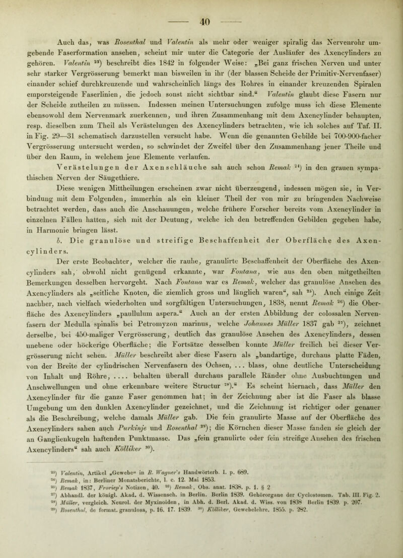 Auch das, was Rosenthal imd Valentin als mehr oder weniger spiralig das Nervenrohr um- gebende Faserformation ansehen, scheint mir unter die Categorie der Ausläufer des Axencylinders zu gehören. Valentin beschreibt dies 1842 ln folgender Welse: „Bel ganz frischen Nerven und unter sehr starker Vergrösserung bemerkt man bisweilen in ihr (der blassen Scheide der Prlmltlv-Nervenfaser) einander schief durchkreuzende und wahrscheinlich längs des Rohres ln einander kreuzenden Spiralen emporstelgcude Faserlinien, die jedoch sonst nicht sichtbar sind.“ Valentin glaubt diese Fasern nur der Schelde zutheilen zu müssen. Indessen meinen Untersuchungen zufolge muss ich diese Elemente ebensowohl dem Nervenmark zuerkennen, und ihren Zusammenhang mit dem Axencylinder behaupten, resp. dieselben zum Theil als Verästelungen des Axencylinders betrachten, wie ich solches auf Taf. II. iuFig. 29—31 schematisch darzustellen versucht habe. Wenn die genannten Gebilde bei 700-900-fachcr Vergrösserung untersucht werden, so schwindet der Zweifel über den Zusammenhang jener Thelle und über den Raum, in welchem jene Elemente verlaufen. Verästelungen der Axen Schläuche sah auch schon Remalc ln den grauen svmpa- thischen Nerven der Säugethiere. Diese wenigen Mitthellungen erscheinen zwar nicht überzeugend, indessen mögen sie, in Ver- bindung mit dem Folgenden, immerhin als ein kleiner Theil der von mir zu bringenden Nachweise betrachtet werden, dass auch die Anschauungen, welche frühere Forscher bereits vom Axencyllnder in einzelnen Fällen hatten, sich mit der Deutung, welche ich den betreffenden Gebilden gegeben habe, in Harmonie bringen lässt. h. Die granulöse und streifige Besebaffenheit der Oberfläche des Axen- cylinders. Der erste Beobachter, welcher die rauhe, granulirte Beschaffenheit der Oberfläche des Axen- cylinders sah, obwohl nicht genügend erkannte, war Fontana, wie aus den oben mltgetheilten Bemerkungen desselben hervorgeht. Nach Fontana war cs Remak, welcher das granulöse Ansehen des Axencylinders als „seitliche Knoten, die ziemlich gross und länglich waren“, sah Auch einige Zeit nachher, nach vielfach wiederholten und sorgfältigen Untersuchungen, 1838, nennt Remalc die Ober- fläche des Axencylinders „paullulum aspera.“ Auch an der ersten Abbildung der colossalen Nerven- fasern der Medulla splnalis bei Petromyzon marinus, welche Johannes Müller 1837 gab zeichnet derselbe, bei 4.50-maliger Vergrösserung, deutlich das granulöse Ansehen des Axencylinders, dessen unebene oder höckerige Oberfläche; die Fortsätze desselben konnte Müller freilich bei dieser Ver- grösserung nicht sehen. Müller beschreibt aber diese Fasern als „bandartige, durchaus platte Fäden, von der Breite der cylindrischen Nervenfasern des Ochsen, ... blass, ohne deutliche Unterscheidung von Inhalt un^ Röhre, .... behalten überall durchaus parallele Ränder ohne Ausbuchtungen und Anschwellungen und ohne erkennbare weitere Stimctur Es scheint hiernach, dass Müller den Axencyllnder für die ganze Faser genommen hat; in der Zeichnung aber ist die Faser als blasse Umgebung um den dunklen Axencyllnder gezeichnet, und die Zeichnung ist richtiger oder genauer als die Beschreibung, welche damals Müller gab. Die fein granulirte Masse auf der Oberfläche des Axencylinders sahen auch Purkinje und Rosenthal *’); die Körnchen dieser Masse fanden sie gleich der an Ganglieukugeln haftenden Punktmasse. Das „fein granulirte oder fein streitige Ansehen des frischen Axencylinders“ sah auch Kölliker **) Valentin, Artikel »Gewebe“ in B. Warner'» Handwörterb. I. p. 689. Remak, in: Berliner Monatsberichte, 1. c. 12. Mai 1853. “) Beniak 18.37, Froriep'a Notizen, 40. Bemak, Obs. anat. 1838. p. 1. § 2 Abliandl. der königl. Akad. d. Wissensch. in Berlin. Berlin 1839. Gebororgnne der Gyclostoinen. Tab. 111. Fig. 2. **) Müller, vergleich. Neurol. der Myxinoiden, in Abh. d. Berl. Akad. d. Wiss. von 1838 Berlin 1839. p. 207. **) Uoseutkul, de fonnat. granulosa, p. 16. 17. 1839. *“) KoUiker, Gewebelehre. 1855. p. 282.