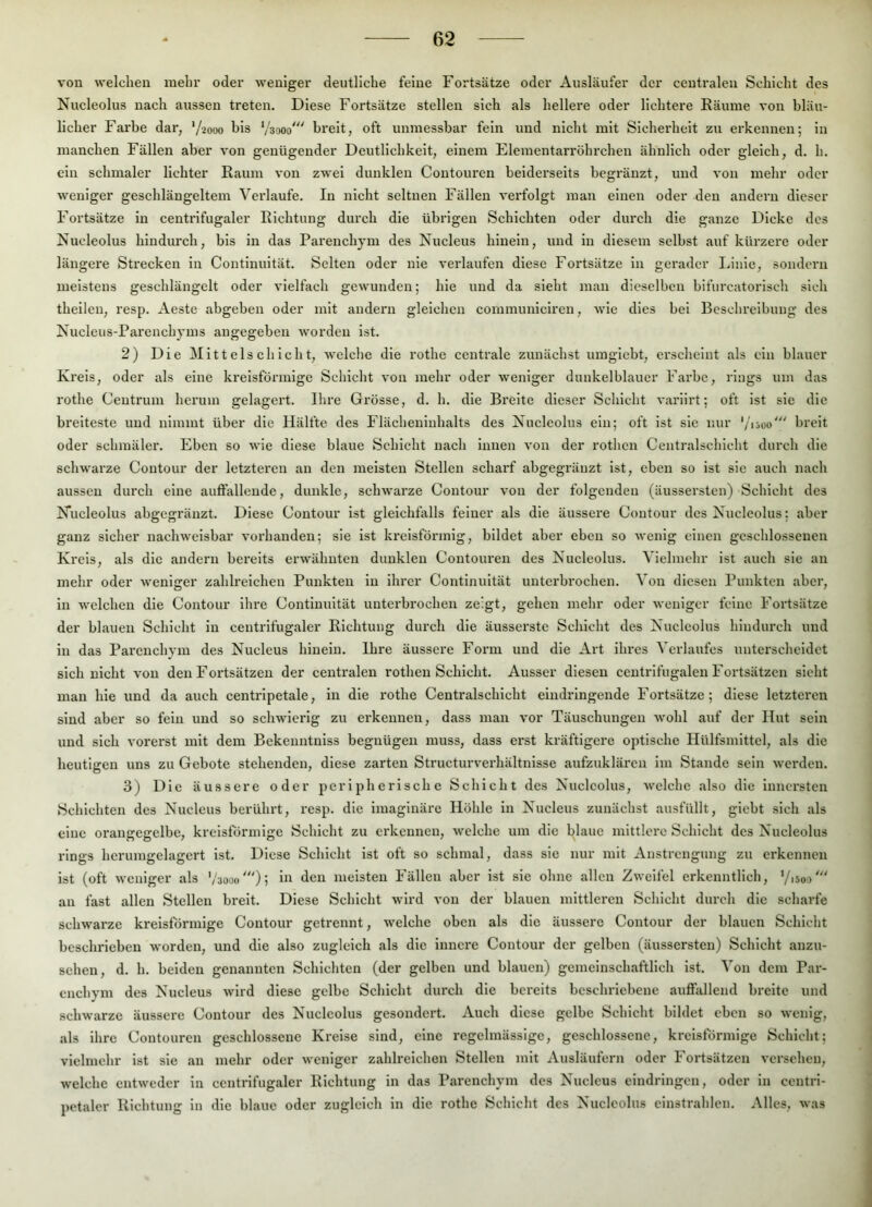 von welchen mehr oder weniger deutliche feine Fortsätze oder Ausläufer der centralen Schicht des Nucleolus nach aussen treten. Diese Fortsätze stellen sich als hellere oder lichtere Räume von bläu- licher Farbe dar, '/2000 bis ’/saoo'“ breit, oft unmessbar fein und nicht mit Sicherheit zu erkennen; ln manchen Fällen aber von genügender Deutlichkeit, einem Elementarröhrchen ähnlich oder gleich, d. h. ein schmaler lichter Raum von zwei dunklen Contouren beiderseits begränzt, und von mehr oder weniger geschlängeltem Verlaufe. In nicht seltnen Fällen vei’folgt man einen oder den andern dieser Fortsätze in centrlfugaler Richtung durch die übrigen Schichten oder durch die ganze Dicke des Nucleolus hindurch, bis ln das Parenchym des Nucleus hinein, und in diesem selbst auf kürzere oder längere Strecken in Contlnultät. Selten oder nie verlaufen diese Fortsätze in gerader Linie, sondern meistens geschlängelt oder vielfach gewunden; hie und da sieht man dieselben bifurcatorisch sich thellen, resp. Aeste abgeben oder mit andern gleichen communlclren, wie dies bei Beschreibung des Nucleus-Parenchyms angegeben worden ist. 2) Die Mittelschicht, welclie die rothe centrale zunächst umglcbt, erscheint als ein blauer Kreis, oder als eine kreisförmige Schicht von mehr oder weniger dunkelblauer Farbe, rings um das rothe Ceutrum herum gelagert. Ilire Grösse, d. h. die Breite dieser Schicht variirt; oft ist sic die breiteste und nimmt über die Hälfte des Flächeninhalts des Nucleolus ein; oft ist sie nur ’/ijoo' breit oder schmäler. Eben so wie diese blaue Schicht nach innen von der rothen Centralschicht durch die schwarze Contour der letzteren an den meisten Stellen scharf abgegränzt ist, eben so ist sic auch nach aussen durch eine auffallende, dunkle, schwarze Contour von der folgenden (äussersten) Schicht des Niicleolus abgegränzt. Diese Contour ist gleichfalls feiner als die äussere Contour des Nucleolus; aber ganz sicher nachweisbar vorhanden; sie ist kreisförmig, bildet aber eben so wenig einen geschlossenen Kreis, als die andern bereits erwähnten dunklen Contouren des Nucleolus. Vielmehr ist auch sie an mehr oder weniger zahlreichen Punkten in ihrer Continuität unterbrochen. Von diesen Punkten aber, in welchen die Contour ihre Continuität untei'brochen zeigt, gehen mehr oder weniger feine Fortsätze der blauen Schicht in centrlfugaler Richtung durch die äusserstc Schicht des Nucleolus hindurch und in das Parenchym des Nucleus hinein. Ihre äussere Form und die Art ihres Verlaufes unterscheidet sich nicht von den Fortsätzen der centralen rothen Schicht. Ausser diesen centrlfugalen Fortsätzen sieht mau hie und da auch centrlpetale, ln die rothe Centralschicht eindringende Fortsätze; diese letzteren sind aber so fein und so schwierig zu erkennen, dass man vor Täuschungen wohl auf der Hut sein und sich vorerst mit dem Bekeuntnlss begnügen muss, dass erst kräftigere optische Hülfsmlttel, als die heutigen uns zu Gebote stehenden, diese zarten Structurverhältnlsse aufzuklären im Stande sein werden. 3) Die äussere oder peripherische Schicht des Nucleolus, welche also die innersten Schichten des Nucleus berührt, resp. die imaginäre Höhle ln Nucleus zunächst ausfüllt, giebt sich als eiue orangegclbe, kreisförmige Schicht zu erkennen, welche um die blaue mittlere Schicht des Nucleolus rings herumgelagcrt ist. Diese Schicht ist oft so schmal, dass sie nur mit Anstrengung zu erkennen ist (oft weniger als ’/sodo')? meisten Fällen aber ist sie ohne allen Zweifel erkenntlich, '/isoo' an fast allen Stellen breit. Diese Schicht wird von der blauen mittleren Schicht durch die scharfe schwarze kreisförmige Contour getrennt, welche oben als die äussere Contour der blauen Schicht beschrieben worden, und die also zugleich als die innere Contour der gelben (äussersten) Schicht anzu- sehen, d. h. beiden genannten Schichten (der gelben und blauen) gemeinschaftlich ist. Von dem Par- enchym des Nucleus wird diese gelbe Schicht durch die bereits beschriebene auffallend breite und schwarze äussere Contour des Nucleolus gesondert. Auch diese gelbe Schicht bildet eben so wenig, als ihre Contouren geschlossene Kreise sind, eine regelmässige, geschlossene, kreisförmige Schicht; vielmehr ist sie an mehr oder weniger zahlreichen Stellen mit Ausläufern oder Fortsätzen versehen, welche entweder in centrlfugaler Richtung in das Parenchym des Nucleus eindringen, oder ln centri- petalcr Richtung ln die blaue oder zugleich ln die rothe Schicht des Nucleolus cinstrahlen. Alles, was