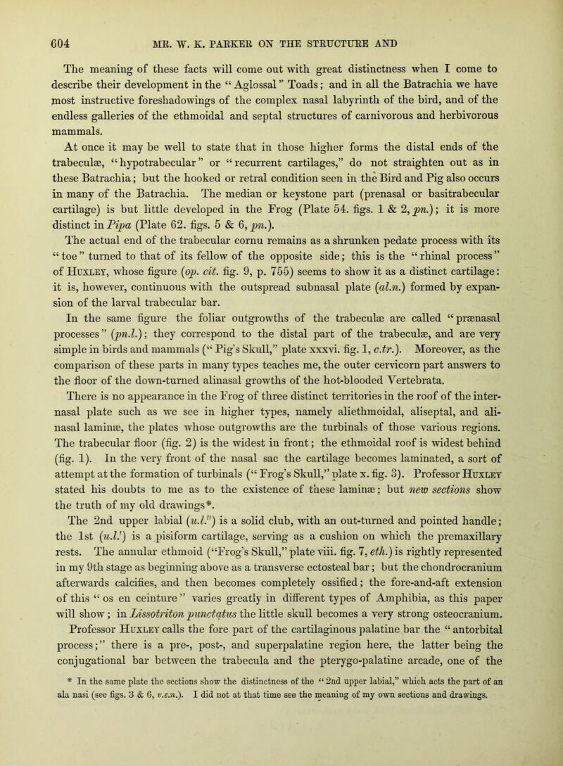 The meaning of these facts will come out with great distinctness when I come to describe their development in the “ Aglossal ” Toads; and in all the Batrachia we have most instructive foreshadowings of the complex nasal labyrinth of the bird, and of the endless galleries of the ethmoidal and septal structures of carnivorous and herbivorous mammals. At once it may be well to state that in those higher forms the distal ends of the trabeculae, “ hypotrabecular ” or “recurrent cartilages,” do not straighten out as in these Batrachia; but the hooked or retral condition seen in the Bird and Pig also occurs in many of the Batrachia. The median or keystone part (prenasal or basitrabecular cartilage) is but little developed in the Frog (Plate 54. figs. 1 & 2, pn.); it is more distinct in Pipa (Plate 62. figs. 5 & 6, pi.). The actual end of the trabecular cornu remains as a shrunken pedate process with its “ toe ” turned to that of its fellow of the opposite side; this is the “ rhinal process ” of Huxley, whose figure (op. cit. fig. 9, p. 755) seems to show it as a distinct cartilage: it is, however, continuous with the outspread subnasal plate {al.n.) formed by expan- sion of the larval trabecular bar. In the same figure the foliar outgrowths of the trabeculse are called “ prsenasal processes” (pn.l.); they correspond to the distal part of the trabeculse, and are very simple in birds and mammals (“ Pig’s Skull,” plate xxxvi. fig. 1, c.tr.). Moreover, as the comparison of these parts in many types teaches me, the outer cervicorn part answers to the floor of the down-turned alinasal growths of the hot-blooded Yertebrata. There is no appearance in the Frog of three distinct territories in the roof of the inter- nasal plate such as we see in higher types, namely aliethmoidal, aliseptal, and ali- nasal laminae, the plates whose outgrowths are the turbinals of those various regions. The trabecular floor (fig. 2) is the widest in front; the ethmoidal roof is widest behind (fig. 1). In the very front of the nasal sac the cartilage becomes laminated, a sort of attempt at the formation of turbinals (“ Frog’s Skull,” plate x. fig. 3). Professor Huxley stated his doubts to me as to the existence of these laminse; but new sections show the truth of my old drawings*. The 2nd upper labial (u.l.) is a solid club, with an out-turned and pointed handle; the 1st (u.l.') is a pisiform cartilage, serving as a cushion on which the premaxillary rests. The annular ethmoid (“Frog’s Skull,” plate viii. fig. 7, eth.) is rightly represented in my 9tli stage as beginning above as a transverse ectosteal bar; but the chondrocranium afterwards calcifies, and then becomes completely ossified; the fore-and-aft extension of this “ os en ceinture ” varies greatly in different types of Amphibia, as this paper will show ; in Lissotriton punctqtus the little skull becomes a very strong osteocranium. Professor Huxley calls the fore part of the cartilaginous palatine bar the “ antorbital process;” there is a pre-, post-, and superpalatine region here, the latter being the conjugational bar between the trabecula and the pterygo-palatine arcade, one of the * In the same plate the sections show the distinctness of the “ 2nd upper labial,” which acts the part of an ala nasi (see figs. 3 & 6, v.e.n.). I did not at that time see the meaning of my own sections and drawings.