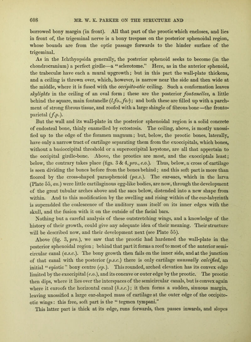 borrowed bony margin (in front). All that part of the prootic which encloses, and lies in front of, the trigeminal nerve is a bony trespass on the posterior sphenoidal region, whose bounds are from the optic passage forwards to the hinder surface of the trigeminal. As in the Ichthyopsida generally, the posterior sphenoid seeks to become (in the chondrocranium) a perfect girdle—a “ sclerotome.” Here, as in the anterior sphenoid, the trabeculae have each a mural upgrowth; but in this part the wall-plate thickens, and a ceiling is thrown over, which, however, is narrow near the side and then wide at the middle, where it is fused with the occipito-otic ceiling. Such a conformation leaves skylights in the ceiling of an oval form; these are the posterior fontanelles, a little behind the square, main fontanelle (l.fo.fio.); and both these are filled up with a parch- ment of strong fibrous tissue, and roofed with a large shingle of fibrous bone —the fronto- parietal (f.p.). But the wall and its wall-plate in the posterior sphenoidal region is a solid concrete of endosteal bone, thinly enamelled by ectostosis. The ceiling, above, is mostly unossi- fied up to the edge of the foramen magnum; but, below, the prootic bones, laterally, have only a narrow tract of cartilage separating them from the exoccipitals, which bones, without a basioccipital threshold or a superoccipital keystone, are all that appertain to the occipital girdle-bone. Above, the prootics are most, and the exocciptals least; below, the contrary takes place (figs. 3 & 4,pro., e.o.). Thus, below, a cross of cartilage is seen dividing the bones before from the bones behind; and this soft partis more than floored by the cross-shaped parasphenoid (pa.s.). The ear-sacs, which in the larva (Plate 55, au.) were little cartilaginous egg-like bodies, are now, through the development of the great tubular arches above and the sacs below, distended into a new shape from within. And to this modification by the swelling and rising within of the ear-labyrinth is superadded the coalescence of the auditory mass itself on its inner edges with the skull, and the fusion with it on the outside of the facial bars. Nothing but a careful analysis of these outstretching wings, and a knowledge of the history of their growth, could give any adequate idea of their meaning. Their structure will be described now, and their development next (see Plate 55). Above (fig. 3, pro.), we saw that the prootic had hardened the wall-plate in the posterior sphenoidal region; behind that part it forms a roof to most of the anterior semi- circular canal (a.s.c.). The bony growth then fails on the inner side, and at the junction of that canal with the posterior (p.s.c.) there is only cartilage unusually calcified, an initial “epiotic” bony centre (ep.). This rounded, arched elevation has its convex edge limited by the exoccipital (e.o.), and its concave or outer edge by the prootic. The prootic then dips, where it lies over the interspaces of the semicircular canals, but is convex again where it enroofs the horizontal canal (h.s.c.); it then forms a sudden, sinuous margin, leaving unossified a large ear-shaped mass of cartilage at the outer edge of the occipito- otic wings : this free, soft part is the “ tegmen tympani.” This latter part is thick at its edge, runs forwards, then passes inwards, and slopes