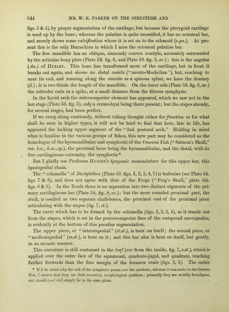 figs. 3 & 4), by proper segmentation of the cartilage, but because the pterygoid cartilage is used up by the bone; whereas the palatine is quite unossified, it has no ectosteal bar, and merely shows some calcification where it is set on to the ethmoid (e.pa.). At pre- sent this is the only Batrachian in which I miss the ectosteal palatine bar. The free mandible has an oblique, sinuously convex condyle, accurately surrounded by the articular bony plate (Plate 58. fig. 6, and Plate 59. fig. 3, ar.); this is the angular (An.) of Huxley. This bone has transformed most of the cartilage, but in front it breaks out again, and shows no distal ossicle (“ mento-Meckelian ”), but, reaching to near its end, and running along the outside as a spinous splint, we have the dentary (d.) ; it is two thirds the length of the mandible. On the inner side (Plate 58. fig. 6, ar.) the articular ends in a spike, at a small distance from the fibrous symphysis. In the hyoid arch the antero-superior element has appeared, which we saw not in the last stage (Plate 58. fig. 3), only a cerato-hyal being there present; but the stapes already, for several stages, had been perfect. If we creep along cautiously, without taking thought either for function or for what shall be seen in higher types, it will not be hard to find that here, late in life, has appeared the lacking upper segment of the 44 2nd postoral arch.” Holding in mind what is familiar in the various groups of fishes, this new part may be considered as the liomologue of the hyomandibular and symplectic of the Osseous Fish (“ Salmon’s Skull,” var. loc., li.m., sy.), the proximal bone being the hyomandibular, and the distal, with its free cartilaginous extremity, the symplectic*. But I gladly use Professor Huxley’s tympanic nomenclature for this upper bar, this hyostapedial chain. The 44 columella” of Dactylethra (Plate 59. figs. 1, 2, 3, 4, 7) is bufonine (see Plate 54. figs. 7 & 8), and does not agree with that of the Frogs (“ Frog’s Skull,” plate viii. figs. 8 & 9). In the Toads there is no separation into two distinct segments of the pri- mary cartilaginous bar (Plate 54. fig. 8, co.); but the more rounded proximal part, the stalk, is ossified as two separate shaft-bones, the proximal end of the proximal piece articulating with the stapes (fig. 7, st.). The curve which has to be formed by the columella (figs. 1, 2, 3, 4), as it stands out from the stapes, which is set in the postero-superior face of the outspread ear-capsules, is evidently at the bottom of this peculiar segmentation. The upper piece, or “ interstapedial ” (it.st.), is bent on itself; the second piece, or 44 mediostapedial ” (m.st.), is bent on it; and this bar also is bent on itself, but gently, in an arcuate manner. This curvature is still contained in the leaf (see from the inside, fig. 7, e.st.), which is applied over the outer face of the squamosal, quadrato-jugal, and quadrate, reaching further forwards than the fore margin of the foramen ovale (figs. 3, 5). The entire * If it be asked why the end of the symplectic passes over the quadrate, whereas it was under in the Osseous Fish, I answer that they are both secondary morphological positions ; primarily they arc serially homologous, and should (and did) simply lie in the same plane.