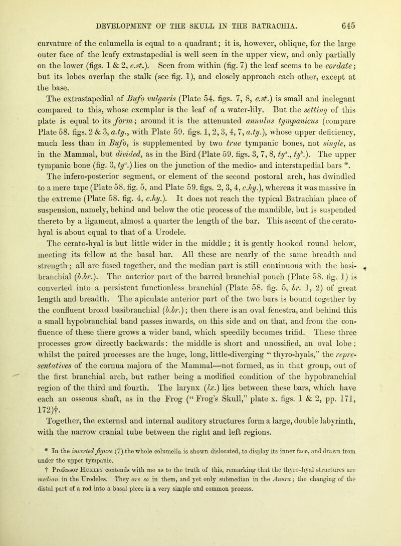 curvature of the columella is equal to a quadrant; it is, however, oblique, for the large outer face of the leafy extrastapedial is well seen in the upper view, and only partially on the lower (figs. 1 & 2, e.st.). Seen from within (fig. 7) the leaf seems to be cordate; but its lobes overlap the stalk (see fig. 1), and closely approach each other, except at the base. The extrastapedial of Bufo vulgaris (Plate 54. figs. 7, 8, e.st.) is small and inelegant compared to this, whose exemplar is the leaf of a water-lily. But the setting of this plate is equal to its form; around it is the attenuated annulus tympanicus (compare Plate 58. figs. 2 & 3, a.ty., with Plate 59. figs. 1, 2, 3, 4, 7, a.ty.), whose upper deficiency, much less than in Bufo, is supplemented by two true tympanic bones, not single, as in the Mammal, but divided, as in the Bird (Plate 59. figs. 3, 7, 8, tya., tyb.). The upper tympanic bone (fig. 3, tya.) lies on the junction of the medio- and interstapedial bars *. The infero-posterior segment, or element of the second postoral arch, has dwindled to a mere tape (Plate 58. fig. 5, and Plate 59. figs. 2, 3, 4, c.hy.), whereas it was massive in the extreme (Plate 58. fig. 4, c.hy.). It does not reach the typical Batrachian place of suspension, namely, behind and below the otic process of the mandible, but is suspended thereto by a ligament, almost a quarter the length of the bar. This ascent of the cerato- hyal is about equal to that of a Urodele. The cerato-hyal is but little wider in the middle ; it is gently hooked round below, meeting its fellow at the basal bar. All these are nearly of the same breadth and strength; all are fused together, and the median part is still continuous with the basi- branchial (h.br.). The anterior part of the barred branchial pouch (Plate 58. fig. I) is converted into a persistent functionless branchial (Plate 58. fig. 5, hr. 1, 2) of great length and breadth. The apiculate anterior part of the two bars is bound together by the confluent broad basibranchial (h.br.); then there is an oval fenestra, and behind this a small hypobranchial band passes inwards, on this side and on that, and from the con- fluence of these there grows a wider band, which speedily becomes trifid. These three processes grow directly backwards: the middle is short and unossified, an oval lobe ; whilst the paired processes are the huge, long, little-diverging “ thyro-hyals,” the repre- sentatives of the cornua majora of the Mammal—not formed, as in that group, out of the first branchial arch, but rather being a modified condition of the hypobranchial region of the third and fourth. The larynx (lx.) lies between these bars, tvhicli have each an osseous shaft, as in the Frog (“ Frog’s Skull,” plate x. figs. 1 & 2, pp. 171, 172)f. Together, the external and internal auditory structures form a large, double labyrinth, with the narrow cranial tube between the right and left regions. * In the inverted figure (7) the whole columella is shown dislocated, to display its inner face, and drawn from under the upper tympanic. t Professor Huxley contends with me as to the truth of this, remarking that the thyro-hyal structures are median in the Urodeles. They are so in them, and yet only submedian in the Anura; the changing of the distal part of a rod into a basal piece is a very simple and common process.