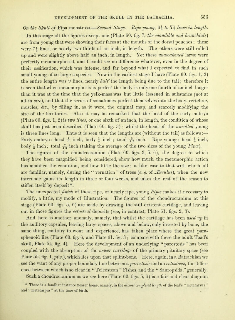 On the Skull of Pipa monstrosa.—Second Stage. Ripe young, 6^ to 7J lines in length. In this stage all the figures except one (Plate 60. fig. 7, the mandible and branchials) are from young that were showing their faces at the mouths of the dorsal pouches ; these were lines, or nearly two thirds of an inch, in length. The others were still rolled up and were slightly above half an inch, in length. Yet these unawakened larvae were perfectly metamorphosed, and I could see no difference whatever, even in the degree of their ossification, which was intense, and far beyond what I expected to find in such small young of so large a species. Nowin the earliest stage I have (Plate 60. figs. 1, 2) the entire length was 9 lines, nearly half the length being due to the tail; therefore it is seen that when metamorphosis is perfect the body is only one fourth of an inch longer than it was at the time that the yelk-mass was but little lessened in substance (not at all in size), and that the series of somatomes perfect themselves into the body, vertebrae, muscles, &c., by filling in, as it were, the original map, and scarcely modifying the size of the territories. Also it may be remarked that the head of the early embryo (Plate 60. figs. 1, 2) is two lines, or one sixth of an inch, in length, the condition of whose skull has just been described (Plate 60. fig. 3); whilst the head of the unrolled young is three lines long. Thus it is seen that the lengths are (without the tail) as follows:— Early embryo: head ^ inch, body \ inch ; total inch. Ripe young: head \ inch, body inch; total inch (taking the average of the two sizes of the young Pipes). The figures of the chondrocranium (Plate 60. figs. 3, 5, 6), the degree to which they have been magnified being considered, show how much the metamorphic action has modified the condition, and how little the size ; a like case to that with which all are familiar, namely, during the “ vernation ” of trees (e. g. of PEsculus), when the new internode gains its length in three or four weeks, and takes the rest of the season to stiffen itself by deposit*. The unexpected finish of these ripe, or nearly ripe, young Pipes makes it necessary to modify, a little, my mode of illustration. The figures of the chondrocranium at this stage (Plate 60. figs. 5, 6) are made by drawing the still existent cartilage, and leaving out in those figures the ectosteal deposits (see, in contrast, Plate 61. figs. 2, 3). And here is another anomaly, namely, that whilst the cartilage has been used up in the auditory capsules, leaving large spaces, above and below, only invested by bone, the same thing, contrary to wont and experience, has taken place where the great para- sphenoid lies (Plate 60. fig. 6, and Plate 61. fig. 3 ; compare with these the adult Toad’s skull, Plate 54. fig. 4). Here the development of an underlying “ parostosis ” has been coupled with the absorption of the newer cartilage of the primary pituitary space (see Plate 55. fig. 1 ,pt.s.), which lies upon that splint-bone. Here, again, in a Batrachian we see the want of any proper boundary line between a parostosis and an ectostosis, the differ- ence between which is so clear in “ Teleostean ” Fishes, and the “ Sauropsida,” generally. Such a chondrocranium as we see here (Plate 60. figs. 5, 6) is a fair and clear diagram * There is a familiar instance nearer home, namely, in the almost completed length of the foal's “metatarsus “ and “ metacarpus ” at the time of birth.