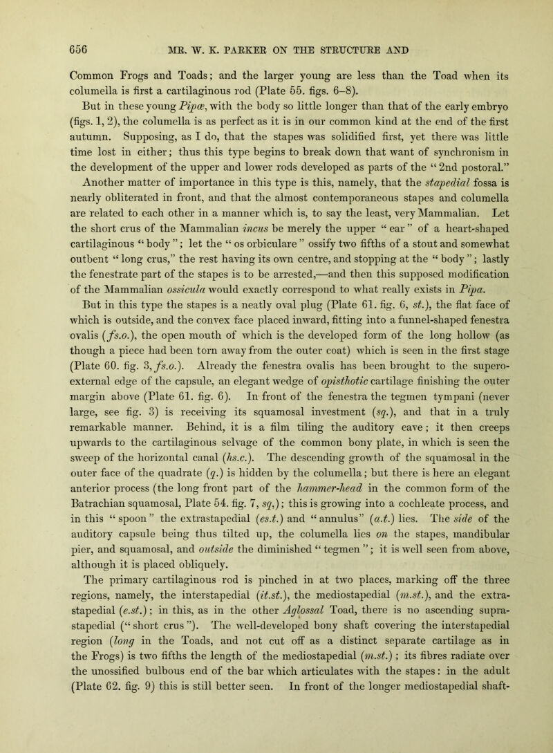 Common Frogs and Toads; and the larger young are less than the Toad when its columella is first a cartilaginous rod (Plate 55. figs. 6-8). But in these young Pipce, with the body so little longer than that of the early embryo (figs. 1, 2), the columella is as perfect as it is in our common kind at the end of the first autumn. Supposing, as I do, that the stapes wTas solidified first, yet there was little time lost in either; thus this type begins to break down that want of synchronism in the development of the upper and lowTer rods developed as parts of the “ 2nd postoral.” Another matter of importance in this type is this, namely, that the stapedial fossa is nearly obliterated in front, and that the almost contemporaneous stapes and columella are related to each other in a manner which is, to say the least, very Mammalian. Let the short crus of the Mammalian incus be merely the upper “ ear ” of a heart-shaped cartilaginous “ body ”; let the “ os orbiculare ” ossify two fifths of a stout and somewhat outbent “ long crus,” the rest having its own centre, and stopping at the “ body ”; lastly the fenestrate part of the stapes is to be arrested,—and then this supposed modification of the Mammalian ossicula would exactly correspond to what really exists in Pipa. But in this type the stapes is a neatly oval plug (Plate 61. fig. 6, st.), the flat face of which is outside, and the convex face placed inward, fitting into a funnel-shaped fenestra ovalis (fs.o.), the open mouth of which is the developed form of the long hollow (as though a piece had been torn away from the outer coat) which is seen in the first stage (Plate 60. fig. 3, fs.o.). Already the fenestra ovalis has been brought to the supero- external edge of the capsule, an elegant wedge of oqnsthotic cartilage finishing the outer margin above (Plate 61. fig. 6). In front of the fenestra the tegmen tympani (never large, see fig. 3) is receiving its squamosal investment (sq.), and that in a truly remarkable manner. Behind, it is a film tiling the auditory eave; it then creeps upwards to the cartilaginous selvage of the common bony plate, in which is seen the sweep of the horizontal canal (hs.c.). The descending growth of the squamosal in the outer face of the quadrate (q.) is hidden by the columella; but there is here an elegant anterior process (the long front part of the hammer-head in the common form of the Batrachian squamosal, Plate 54. fig. 7, sq,); this is growing into a cochleate process, and in this “spoon” the extrastapedial (es.t.) and “annulus” (a.t.) lies. The side of the auditory capsule being thus tilted up, the columella lies on the stapes, mandibular pier, and squamosal, and outside the diminished “ tegmen ”; it is wrell seen from above, although it is placed obliquely. The primary cartilaginous rod is pinched in at two places, marking off the three regions, namely, the interstapedial (it.st.), the mediostapedial (m.st.), and the extra- stapedial (e.st.); in this, as in the other Aglossal Toad, there is no ascending supra- stapedial (“short crus”). The well-developed bony shaft covering the interstapedial region (long in the Toads, and not cut off as a distinct separate cartilage as in the Frogs) is two fifths the length of the mediostapedial (m.st.) ; its fibres radiate over the unossified bulbous end of the bar which articulates with the stapes: in the adult (Plate 62. fig. 9) this is still better seen. In front of the longer mediostapedial shaft-