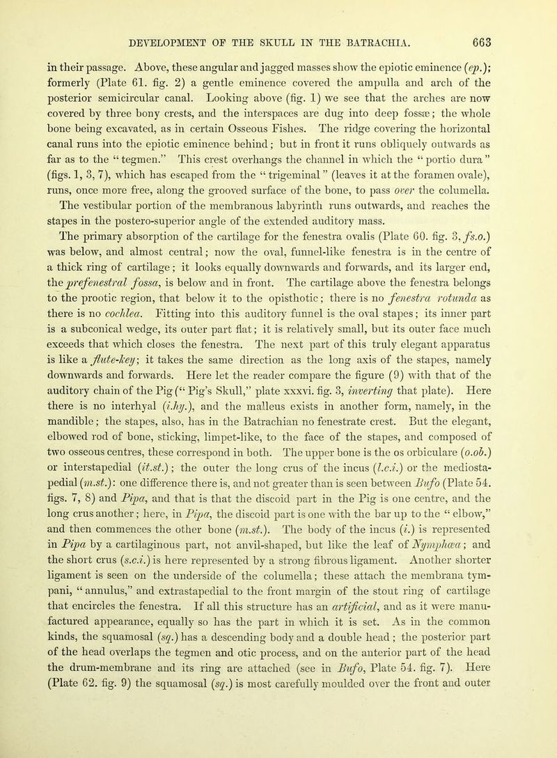 in their passage. Above, these angular and jagged masses show the epiotic eminence (ep.); formerly (Plate 61. fig. 2) a gentle eminence covered the ampulla and arch of the posterior semicircular canal. Looking above (fig. 1) we see that the arches are now covered by three bony crests, and the interspaces are dug into deep fossae; the whole hone being excavated, as in certain Osseous Fishes. The ridge covering the horizontal canal runs into the epiotic eminence behind; but in front it runs obliquely outwards as far as to the “ tegmen.” This crest overhangs the channel in which the “ portio dura ” (figs. 1, 3, 7), which has escaped from the “trigeminal” (leaves it at the foramen ovale), runs, once more free, along the grooved surface of the bone, to pass over the columella. The vestibular portion of the membranous labyrinth runs outwards, and reaches the stapes in the postero-superior angle of the extended auditory mass. The primary absorption of the cartilage for the fenestra ovalis (Plate 60. fig. 3,fs.o.) was below, and almost central; now the oval, funnel-like fenestra is in the centre of a thick ring of cartilage; it looks equally downwards and forwards, and its larger end, the prefenestral fossa, is below and in front. The cartilage above the fenestra belongs to the prootic region, that below it to the opisthotic; there is no fenestra rotunda as there is no cochlea. Fitting into this auditory funnel is the oval stapes; its inner part is a subconical wedge, its outer part flat; it is relatively small, but its outer face much exceeds that which closes the fenestra. The next part of this truly elegant apparatus is like a fiute-key; it takes the same direction as the long axis of the stapes, namely downwards and forwards. Flere let the reader compare the figure (9) with that of the auditory chain of the Pig(“ Pig’s Skull,” plate xxxvi. fig. 3, inverting that plate). Here there is no interhyal (i.hy.), and the malleus exists in another form, namely, in the mandible; the stapes, also, has in the Batrachian no fenestrate crest. But the elegant, elbowed rod of bone, sticking, limpet-like, to the face of the stapes, and composed of two osseous centres, these correspond in both. The upper bone is the os orbiculare (o.oh.) or interstapedial (it.st.); the outer the long crus of the incus (l.c.i.) or the mediosta- pedial (m.st.): one difference there is, and not greater than is seen between Bufo (Plate 54. figs. 7, 8) and Pipa, and that is that the discoid part in the Pig is one centre, and the long crus another; here, in Pip a, the discoid part is one with the bar up to the “ elbow,” and then commences the other bone (m.st.). The body of the incus (i.) is represented in Pipa by a cartilaginous part, not anvil-shaped, but like the leaf of Nymphceci; and the short crus (s.c.i.) is here represented by a strong fibrous ligament. Another shorter ligament is seen on the underside of the columella; these attach the membrana tym- pani, “ annulus,” and extrastapedial to the front margin of the stout ring of cartilage that encircles the fenestra. If all this structure has an artificial, and as it were manu- factured appearance, equally so has the part in which it is set. As in the common kinds, the squamosal (sq.) has a descending body and a double head ; the posterior part of the head overlaps the tegmen and otic process, and on the anterior part of the head the drum-membrane and its ring are attached (see in Bufo, Plate 54. fig. 7). Here (Plate 62. fig. 9) the squamosal (sq.) is most carefully moulded over the front and outer