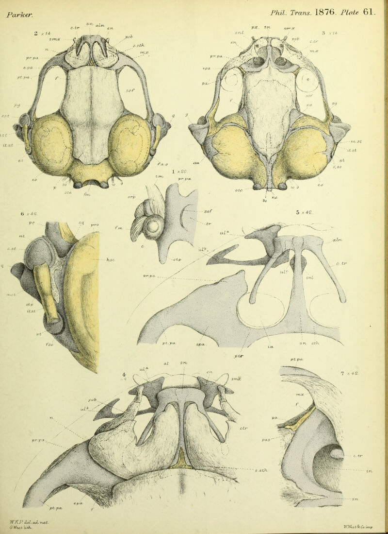 C. hr ^ aLw ere pOC., S 3 *74- p-r.pCL, ptpu, otc pr.pa. e^pCL f - & pCL- - '' W J (fit'.; > \ sof % WiWis 6%cCo. imp . WKP. cieL. aJLiaat,. G Wee t isPh,