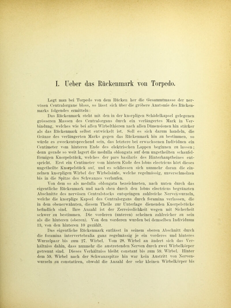 Legt man bei Torpedo von dem Rücken her die Gresammtmasse der ner- vösen Centralorgane bloss, so lässt sich über die gröbere Anatomie des Rücken- marks folgendes ermitteln: Das Rückenmark steht mit den in der knorpligen Schädelkapsel gelegenen grösseren Massen des Centralorgans durch ein verlängertes Mark in Ver- bindung, welches wie bei allen Wirbelthieren nach allen Dimensionen hin stärker als das Rückenmark selbst entwickelt ist. Soll es sich darum handeln, die Gränze des verlängerten Marks gegen das Rückenmark hin zu bestimmen, so würde es zweckentsprechend sein, das letztere bei erwachsenen Individuen ein Centimeter vom hinteren Ende des elektrischen Lappen beginnen zu lassen; denn gerade so weit lagert die medulla oblongata auf dem ungetheilten schaufel- förmigen Knorpelstück, welches der pars basilaris des Hinterhauptbeines ent- spricht. Erst ein Centimeter vom hintern Ende des lobus electricus hört dieses ungetheilte Knorpelstück auf, und es schliessen sich nunmehr daran die ein- zelnen knorpligen Wirbel der Wirbelsäule, welche regelmässig, unverschmolzen bis in die Spitze des Schwanzes verlaufen. Von dem so als medulla oblongata bezeichneten, nach unten durch das eigentliche Rückenmark und nach oben durch den lobus electricus begränzten Abschnitte des nervösen Centralstocks entspringen zahlreiche Nerven vurzeln, welche die knorplige Kapsel des Centralorgans durch foramina verlassen, die in dem obenerwähnten, diesem Theile zur Unterlage dienenden Knorpelstücke befindlich sind. Ihre Anzahl ist der Zerreisslichkeit wegen mit Sicherheit schwer zu bestimmen. Die vorderen (unteren) scheinen zahlreicher zu sein als die hinteren (oberen). Von den vorderen wurden bei demselben Individuum 13, von den hinteren 10 gezählt. Das eigentliche Rückenmark entlässt in seinem oberen Abschnitt durch die foramina intervertebralia ganz regelmässig je ein vorderes und hinteres Wurzelpaar bis zum 27. Wirbel. Vom 28. Wirbel an ändert sich das Ver- hältniss dahin, dass nunmehr die austretenden Nerven durch zwei Wirbelkörper getrennt sind. Dieses Verhältniss bleibt constant bis zum 59. Wirbel. Hinter dem 59. Wirbel nach der Schwanzspitze hin war kein Austritt von Nerven- wurzeln zu constatireu, obwohl die Anzahl der sehr kleinen Wirbelkörper bis