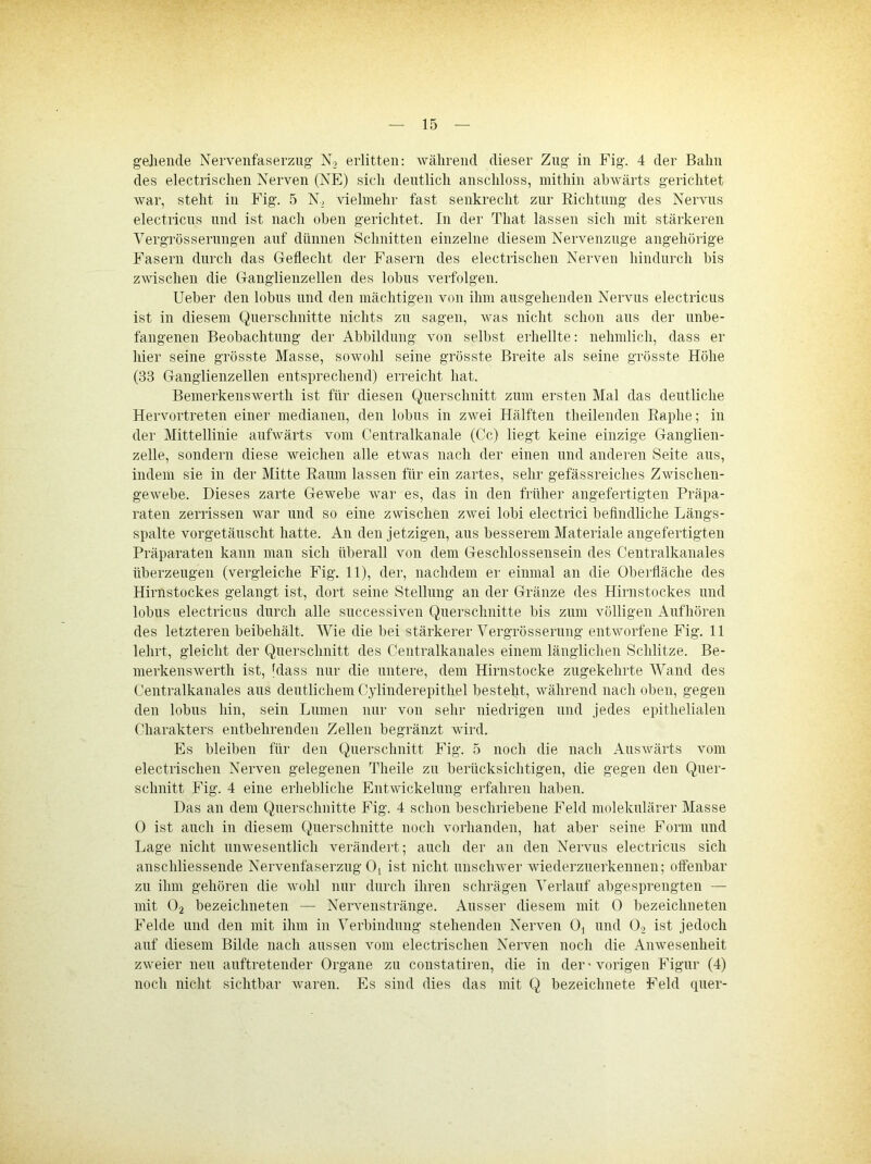 gehende Nervenfaserzug No erlitten: während dieser Zug in Fig. 4 der Bahn des electrischen Nerven (NE) sich deutlich anschloss, mithin abwärts gerichtet war, steht in Fig. 5 N., vielmehr fast senkrecht zur Richtung des Nervus electricns und ist nach oben gerichtet. In der That lassen sich mit stärkeren A^ergrössernngen auf dünnen Schnitten einzelne diesem Nervenzuge angehörige Fasern durch das Geflecht der Fasern des electrischen Nerven hindurch bis zwischen die Ganglienzellen des lobus verfolgen. Ueber den lobns und den mächtigen von ihm ausgehenden Nervus electricns ist in diesem Querschnitte nichts zu sagen, was nicht schon aus der unbe- fangenen Beobachtung der Abbildung von selbst erhellte: nehmlich, dass er hier seine grösste Masse, sowohl seine grösste Breite als seine grösste Höhe (33 Ganglienzellen entsprechend) erreicht hat. Bemerkenswerth ist für diesen Querschnitt znm ersten Mal das deutliche Hervortreten einer medianen, den lobns in zwei Hälften theilenden Raphe; in der Mittellinie aufwärts vom Centralkanale (Cc) liegt keine einzige Ganglien- zelle, sondern diese weichen alle etwas nach der einen und anderen Seite ans, indem sie in der Mitte Raum lassen für ein zartes, sehr gefässreiches Zwischen- gewebe. Dieses zarte Gewebe war es, das in den früher angefertigten Präpa- raten zerrissen war und so eine zwischen zwei lobi electrici beflndliche Längs- spalte vorgetäuscht hatte. An den jetzigen, ans besserem Materiale angefertigten Präparaten kann man sich überall von dem Geschlossensein des Centralkanales überzeugen (vergleiche Fig. 11), der, nachdem er einmal an die Oberfläche des Hirnstockes gelangt ist, dort seine Stellung an der Gränze des Hirnstockes und lobus electricns durch alle successiven Querschnitte bis zum völligen Anfhören des letzteren beibehält. AVie die bei stärkerer A'ergrösserung entworfene Fig. 11 lehrt, gleicht der Querschnitt des Gentralkanales einem länglichen Schlitze. Be- merkenswerth ist, 'dass nur die untere, dem Hirnstocke zugekehrte AVand des Centralkanales aus deutlichem Cylinderepithel besteht, während nach oben, gegen den lobus hin, sein Lumen nur von sehr niedrigen und jedes epithelialen Charakters entbehrenden Zellen begränzt wird. Es bleiben für den Querschnitt Fig. 5 noch die nach Auswärts vom electrischen Nerven gelegenen Theile zu berücksichtigen, die gegen den Quer- schnitt Fig. 4 eine erhebliche Entwickelung erfahren haben. Das an dem Querschnitte Fig. 4 schon beschriebene Feld molekulärer Masse 0 ist auch in diesem Querschnitte noch vorhanden, hat aber seine Form und Lage nicht unwesentlich verändert; auch der an den Nervus electricns sich anschliessende Nervenfaserzug Oj ist nicht unschwer wiederzuerkennen; offenbar zu ihm gehören die wohl nur durch ihren schrägen A'erlanf abgesprengten — mit O2 bezeichneten — Nervenstränge. Ausser diesem mit 0 bezeichneten Felde und den mit ihm in A^erbindung stehenden Nerven Oj und O2 ist jedoch auf diesem Bilde nach aussen vom electrischen Nerven noch die Anwesenheit zweier neu auftretender Organe zn constatiren, die in der • vorigen Figur (4) noch nicht sichtbar waren. Es sind dies das mit Q bezeichnete Feld quer-