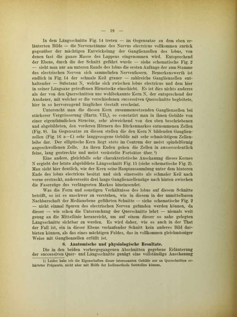In dem Längsschnitte Fig. 14 treten — im Gegensätze zu dem eben er- läuterten Büde — die Nervenstämme des Nervus electricus vollkommen zurück gegenüber der mächtigen Entwickelung der Ganglienzellen des lobus, von denen fast die ganze Masse des Lappens eingenonunen wird. Entsprechend der Ebene, durch die der Schnitt geführt wurde — siehe schematische Fig. 2 — sieht man nur am unteren Bande des lobus die ersten Anfänge der zum Stanune des electrischen Nerven sich sammelnden Nervenfasern. Bemerkenswerth ist endlich in Fig. 14 der schmale Keil grauer — zahlreiche Ganglienzellen ent- haltender — Substanz N, welche sich zwischen lobus electricus und dem hier in seiner Längsaxe getroffenen Hirnstocke einschiebt. Es ist dies nichts anderes als der von den Querschnitten uns wohlbekannte Kern N, der entsprechend der Ausdauer, mit welcher er die verschiedenen successiven Querschnitte begleitete, hier in so heiworragend länglicher Gestalt erscheint. Untersucht man die diesen Kern zusanmiensetzenden Ganglienzellen bei stärkerer Yergrösserung (Hartn. ^TLj), so constatirt man in ihnen Gebilde von einer eigenthümlichen Structur, sehr abweichend von den oben beschriebenen und abgebildeten, den vorderen Hörnern des Rückenmarkes entnonunenen Zellen (Fig. 9). Im Gegensätze zu diesen stellen die den Kern N bildenden Ganglien- zellen (Fig. 16 a—f.) sehr langgezogene Gebilde mit sehr schmächtigem Zellen- leibe dar. Der elliptische Kern liegt stets im Centrum der meist spindelförmig angeschwollenen Zelle. An ihren Enden gehen die Zellen in ausserordentlich feine, lang gestreckte und meist verästelte Fortsätze über. Eine andere, gleichfalls sehr charakteristische Anschauung dieses Kernes N ergiebt der letzte abgebüdete Längsschnitt Fig. 15 (siehe schematische Fig. 2). Man sieht hier deutlich, wie der Kern seine Hauptansammlung unter dem hinteren Ende des lobus electricus besitzt und sich einerseits als schmaler Keil nach vorne erstreckt, andererseits drei lange Ganglienzellenzüge nach hinten zwischen die Faserzüge des verlängerten Markes hineinsendet. Was die Form und sonstigen Verhältnisse des lobus auf diesem Schnitte betrifft, so ist es unschwer zu verstehen, wie in diesem in der unmittelbaren Nachbarschaft der Medianebene geführten Schnitte — siehe schematische Fig. 2 — nicht einmal Spuren des electrischen Nerven gefunden werden können, da dieser — wie schon die Untersuchung der Querschnitte lehrt — niemals weit genug an die Mittellinie heranreicht, um auf einem dieser so nahe gelegten Längsschnitte sichtbar zu werden. Es wird daher, wie es auch in der That der FaU ist, ein in dieser Ebene verlaufender Schnitt kein anderes Bild dar- bieten können, als das eines mächtigen Feldes, das in vollkommen gleiclmiässiger Weise mit Ganglienzellen erfüllt ist. 6. Auatomisclie und physiologische Resultate. Die in den beiden vorhergegangenen Abschnitten gegebene Erläuterung der successiven Quer- und Längsschnitte genügt eine vollständige Anschauung 1) Leider habe ich die Eigenschaften dieser interessanten Gebilde nur an Querschnitten er- härteter Präparate, nicht aber mit Hülfe der Isolirmethode feststellen können.