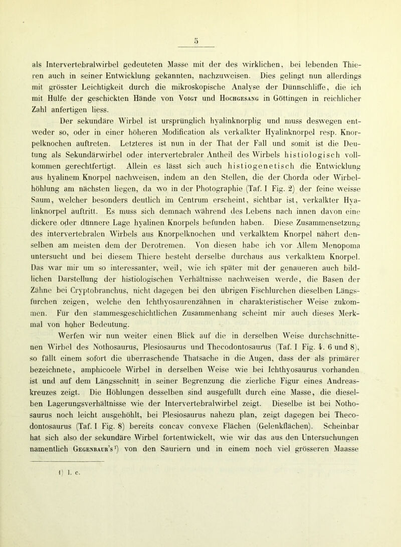 als Intervertebrahvirbel gedeuteten Masse mit der des wirklichen, bei lebenden Thie- ren auch in seiner Entwicklung gekannten, nachzuweisen. Dies gelingt nun allerdings mit grösster Leichtigkeit durch die mikroskopische Analyse der Dünnschliffe, die ich mit Hülfe der geschickten Hände von Voigt und Hochgesang in Göttingen in reichlicher Zahl anfertigen liess. Der sekundäre Wirbel ist ursprünglich hyalinknorplig und muss deswegen ent- weder so, oder in einer höheren Modification als verkalkter Hyalinknorpel resp. Knor- pelknochen auftreten. Letzteres ist nun in der That der Fall und somit ist die Deu- tung als Sekundärwirbel oder intervertebraler Antheil des Wirbels histiologisch voll- kommen gerechtfertigt. Allein es lässt sich auch histiogenetisch die Entwicklung aus hyalinem Knorpel nachweisen, indem an den Stellen, die der Chorda oder Wirbel- höhlung am nächsten hegen, da wo in der Photographie (Taf. I Fig. 2) der feine weisse Saum, welcher besonders deutlich im Centrum erscheint, sichtbar ist, verkalkter Hya- linknorpel auftritt. Es muss sich demnach während des Lebens nach innen davon eine dickere oder dünnere Lage hyalinen Knorpels befunden haben. Diese Zusammensetzung des intervertebralen Wirbels aus Knorpelknochen und verkalktem Knorpel nähert den- selben am meisten dem der Derotremen. Von diesen habe ich vor Allem Menopoma untersucht und bei diesem Thiere besteht derselbe durchaus aus verkalktem Knorpel. Das war mir um so interessanter, weil, wie ich später mit der genaueren auch bild- lichen Darstellung der histiologischen Verhältnisse nachweisen werde, die Basen der Zähne bei Cryptobranchus, nicht dagegen bei den übrigen Fischlurchen dieselben Längs- furchen zeigen, welche den Ichthyosaurenzähnen in charakteristischer Weise zukom- men. Für den stammesgeschichtlichen Zusammenhang scheint mir auch dieses Merk- mal von hoher Bedeutung. Werfen wir nun weiter einen Blick auf die in derselben Weise durchschnitte- nen Wirbel des Nothosaurus, Plesiosaurus und Thecodontosaurus (Taf. I Fig. 4. 6 und 8), so fällt einem sofort die überraschende Thatsache in die Augen, dass der als primärer bezeichnete, amphicoele Wirbel in derselben Weise wie bei Ichthyosaurus vorhanden ist und auf dem Längsschnitt in seiner Begrenzung die zierliche Figur eines Andreas- kreuzes zeigt. Die Höhlungen desselben sind ausgefüllt durch eine Masse, die diesel- ben Lagerungsverhältnisse wie der Intervertebrahvirbel zeigt. Dieselbe ist bei Notho- saurus noch leicht ausgehöhlt, bei Plesiosaurus nahezu plan, zeigt dagegen bei Theco- dontosaurus (Taf. I Fig. 8) bereits concav convexe Flächen (Gelenkflächen). Scheinbar hat sich also der sekundäre Wirbel fortentwickelt, wie wir das aus den Untersuchungen namentlich Gegenbaur’s *) von den Sauriern und in einem noch viel grösseren Maasse