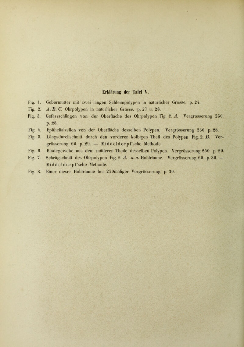 Fig. 1. Gebärmuller mit zwei langen Schleimpolypen in natürlicher Grösse, p. 24. Fig. 2. A.B.C. Ohrpolypen in natürlicher Grösse, p. 21 u. 28. Fig. 3. Gefassschlingen von der Oberfläche des Ohrpolypen Fig. 2. A. Vergrösserung 250. p. 28. Fig. 4. Epithelialzellen von der Oberfläche desselben Polypen. Vergrösserung 250. p. 28. Fig. 5. Längsdurchschnitt durch den vorderen kolbigen Theil des Polypen Fig. 2. B. Ver- grösserung 60. p. 29. — Middeldorpf’sche Methode. Fig. 6. Bindegewebe aus dem mittleren Theile desselben Polypen. Vergrösserung 250. p. 29. Fig. 7. Schrägschnitt des Ohrpolypen Fig. 2. A. a. a. Hohlräume. Vergrösserung 60. p. 30.— Middeldorpf’sche Methode.