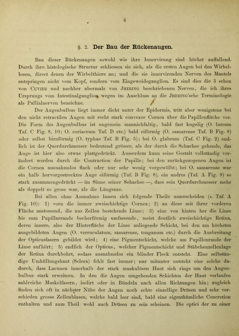 §. 2. Der Bau der Rückenaugen. Bau dieser Bückenaugen sowohl wie ihre Innervirung sind höchst auffallend. Durch ihre histologische Structur schliessen sie sich, als die ersten Augen hei den Wirbel- losen, direct denen der Wirbelthiere an; und die sie innervirenden Nerven des Mantels entspringen nicht vom Kopf, sondern vom Eingeweideganglion. Es sind dies die 3 schon von Cuyier und nachher abermals von Jhering beschriebenen Nerven, die ich ihres Ursprungs vom Intestinalganglion wegen im Anschluss an die jHERiNG’sche Terminologie als Pallialnerven bezeichne. / Der Augenbulbus liegt immer dicht unter der Epidermis, tritt aber wenigstens bei den nicht retractilen Augen mit recht stark convexer Cornea über die Papillenfläche vor. Die Form des Augenbulbus ist ungemein mannichfaltig, bald fast kugelig (O. luteum Taf. C Eig. 8, 10; O. coriaceum Taf. D etc.) bald eiförmig (0. samarense Taf. B Fig. 8) oder selbst bimförmig (0. typhae Taf. B Fig. 5); bei 0. glabrum (Taf. C Fig. 2) end- lich ist der Querdurchmesser bedeutend grösser, als der durch die Sehachse gehende, das Auge ist hier also etwas plattgedrückt. Ausserdem kann seine Gestalt vollständig ver- ändert werden durch die Contraction der Papille; bei den zurückgezogenen Augen ist die Cornea ausnahmslos flach oder nur sehr wenig vorgewölbt; bei 0. samarense war ein halb hervorgestrecktes Auge eiförmig (Taf. B Fig. 8), ein andres (Taf. A Fig. 9) so stark zusammengedrückt — im Sinne seiner Sehachse —, dass sein Querdurchmesser mehr als doppelt so gross war, als die Längsaxe. Bei allen ohne Ausnahme lassen sich folgende Theile unterscheiden (s. Taf. A Fig. 10): 1) vorn die immer zweischichtige Cornea; 2) an diese mit ihrer vorderen Fläche anstossend, die aus Zellen bestehende Liuse; 3) eine von hinten her die Linse bis zum Pupillarrande becherförmig umfassende, meist deutlich zweischichtige Betina, deren innere, also der Hinterfläche der Linse anliegende Schicht, bei den am höchsten ausgebildeten Augen (0. verruculatum, samarense, tonganum etc.) durch die Ausbreitung der Opticusfasern gebildet wird; 4) eine Pigmentschicht, welche am Pupillenrande der Linse auf hört; 5) endlich der Opticus, welcher Pigmentschicht und Stäbchenzellenlage der Betina durchbohrt, sodass ausnahmslos ein blinder Fleck entsteht. Eine selbstän- dige Umhüllungshaut (Sclera) fehlt fast immer; nur mitunter entsteht eine solche da- durch, dass Lacunen innerhalb der stark muskulösen Haut sich rings um den Augen- bulbus stark erweitern. In den die Augen umgebenden Schichten der Haut verlaufen zahlreiche Muskelfasern, isolirt oder in Bündeln nach allen Bichtungen hin; zugleich finden sich oft in nächster Nähe der Augen noch echte einzellige Drüsen und sehr ver- schieden grosse Zellenblasen, welche bald leer sind, bald eine eigenthümliche Concretion enthalten und zum Theil wohl auch Drüsen zu sein scheinen. Die optici der zu einer