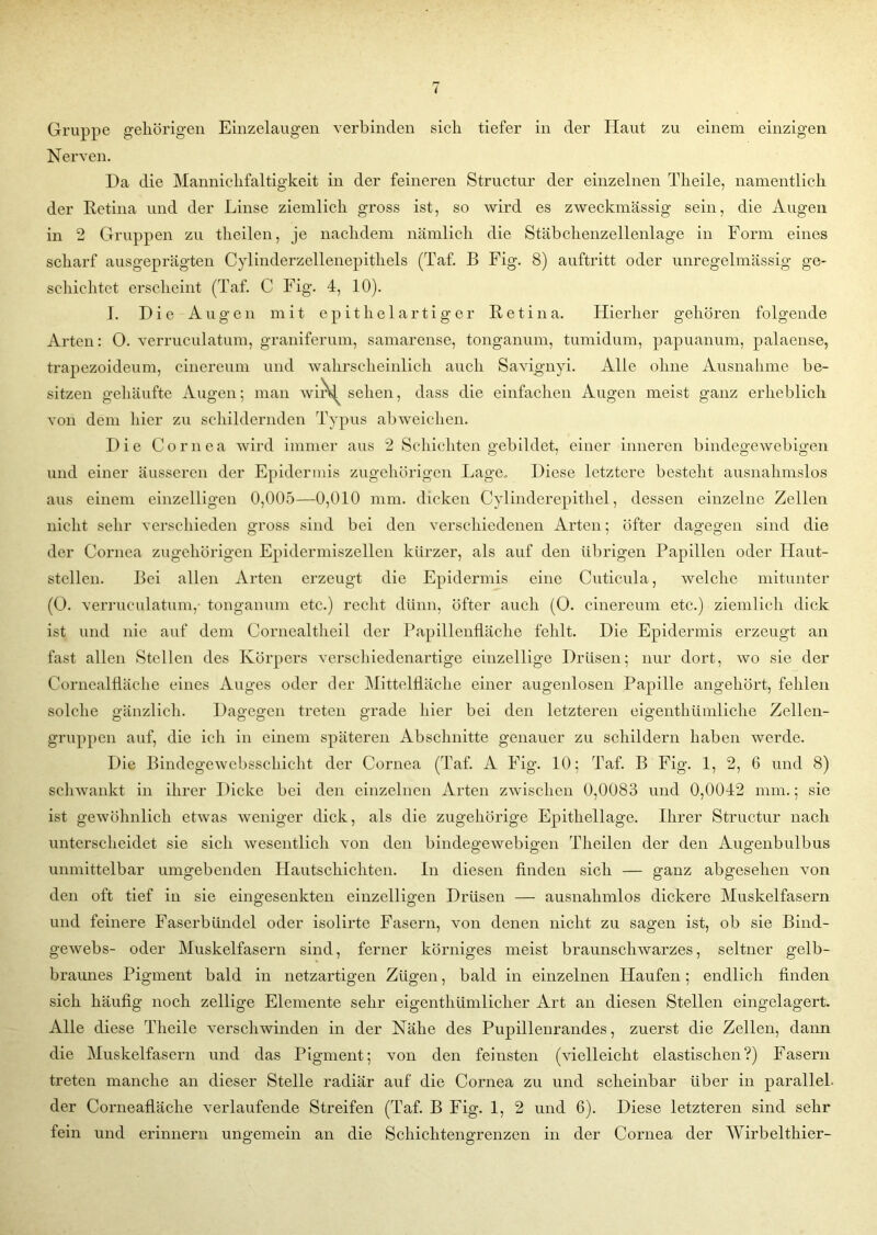 Nerven. Da die Mannichfaltigkeit in der feineren Structur der einzelnen Tlieile, namentlich der Retina und der Linse ziemlich gross ist, so wird es zweckmässig sein, die Augen in 2 Gruppen zu theilen, je nachdem nämlich die Stäbchenzellenlage in Form eines scharf ausgeprägten Cylinderzellenepithels (Taf. B Fig. 8) auftritt oder unregelmässig ge- schichtet erscheint (Taf. C Fig. 4, 10). I. Die Augen mit epithelartiger Retina. Hierher gehören folgende Arten: 0. verruculatum, graniferum, samarense, tonganum, tumidum, papuanum, palaense, trapezoideum, cinereum und wahrscheinlich auch Savignyi. Alle ohne Ausnahme be- sitzen gehäufte Augen; man wir^ sehen, dass die einfachen Augen meist ganz erheblich von dem hier zu schildernden Typus abweichen. Die Cornea wird immer aus 2 Schichten gebildet, einer inneren bindegewebigen und einer äusseren der Epidermis zugehörigen Lage. Diese letztere besteht ausnahmslos aus einem einzelligen 0,005—0,010 mm. dicken Cylinderepithel, dessen einzelne Zellen nicht sehr verschieden gross sind bei den verschiedenen Arten; öfter dagegen sind die der Cornea zugehörigen Epidermiszellen kürzer, als auf den übrigen Papillen oder Haut- stellen. Bei allen Arten erzeugt die Epidermis eine Cuticula, welche mitunter (O. verruculatum,- tonganum etc.) recht dünn, öfter auch (O. cinereum etc.) ziemlich dick ist und nie auf dem Cornealtheil der Papillenfläche fehlt. Die Epidermis erzeugt an fast allen Stellen des Körpers verschiedenartige einzellige Drüsen; nur dort, wo sie der Cornealfläche eines Auges oder der Mittelfläche einer augenlosen Papille angehört, fehlen solche gänzlich. Dagegen treten grade hier bei den letzteren eigenthümliche Zellen- gruppen auf, die ich in einem späteren Abschnitte genauer zu schildern haben werde. Die Bindegewebsscbicht der Cornea (Taf. A Fig. 10; Taf. B Fig. 1, 2, 6 und 8) schwankt in ihrer Dicke bei den einzelnen Arten zwischen 0,0083 und 0,0042 mm.; sie ist gewöhnlich etwas weniger dick, als die zugehörige Epithellage. Ihrer Structur nach unterscheidet sie sich wesentlich von den bindegewebigen Theilen der den Augenbulbus unmittelbar umgebenden Hautschichten. In diesen finden sich — ganz abgesehen von den oft tief in sie eingesenkten einzelligen Drüsen — ausnahmlos dickere Muskelfasern und feinere Faserbündel oder isolirte Fasern, von denen nicht zu sagen ist, ob sie Bind- gewebs- oder Muskelfasern sind, ferner körniges meist braunschwarzes, seltner gelb- braunes Pigment bald in netzartigen Zügen, bald in einzelnen Haufen; endlich finden sich häufig noch zellige Elemente sehr eigenthümlicher Art an diesen Stellen eingelagert. Alle diese Theile verschwinden in der Nähe des Pupillenrandes, zuerst die Zellen, dann die Muskelfasern und das Pigment; von den feinsten (vielleicht elastischen?) Fasern treten manche an dieser Stelle radiär auf die Cornea zu und scheinbar über in parallel- der Corneafläche verlaufende Streifen (Taf. B Fig. 1, 2 und 6). Diese letzteren sind sehr fein und erinnern ungemein an die Schichtengrenzen in der Cornea der Wirbelthier-