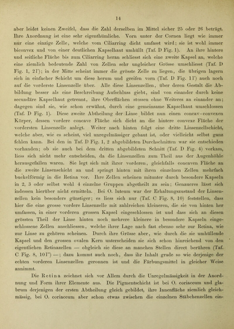 aber leidet keinen Zweifel, dass die Zahl derselben im Mittel sicher 25 oder 26 beträgt. Ihre Anordnung ist eine sehr eigenthümliche. Vorn unter der Cornea liegt wie immer nur eine einzige Zelle, welche vom Ciliarring dicht umfasst wird; sie ist wohl immer biconvex und von einer deutlichen Kapselhaut umhüllt (Taf. D Fig. 1). An ihre hintere und seitliche Fläche bis zum Ciliarring heran schliesst sich eine zweite Kapsel an, welche eine ziemlich bedeutende Zahl von Zellen sehr ungleicher Grösse umschliesst (Taf. D Fig. 1, 21’); in der Mitte scheint immer die grösste Zelle zu liegen, die übrigen lagern sich in einfacher Schicht um diese herum und greifen vorn (Taf. 1) Fig. 11’) auch noch auf die vorderste Linsenzelle über. Alle diese Linsenzellen, über deren Gestalt die Ab- bildung besser als eine Beschreibung Aufschluss giebt, sind von einander durch keine secundäre Kapselhaut getrennt, ihre Oberflächen stossen ohne Weiteres an einander an; dagegen sind sie, wie schon erwähnt, durch eine gemeinsame Kapselhaut umschlossen (Taf. D Fig. 1). Diese zweite Abtheilung der Linse bildet nun einen concav - convexen Körper, dessen vordere concave Fläche sich dicht an die hintere convexe Fläche der vordersten Linsenzelle anlegt. Weiter nach hinten folgt eine dritte Linsenzellschicht, welche aber, wie es scheint, viel unregelmässiger gebaut ist, oder vielleicht selbst ganz fehlen kann. Bei den in Taf. D Fig. 1, 2 abgebildeten Durchschnitten war sie entschieden vorhanden; ob sie auch bei dem dritten abgebildeten Schnitt (Taf. D Fig. 4) vorkam, liess sich nicht mehr entscheiden, da die Linsenzellen zum Theil aus der Augenhöhle herausgefallen waren. Sie legt sich mit ihrer vorderen, gleichfalls concaven Fläche an die zweite Linsenschicht an und springt hinten mit ihren einzelnen Zellen mehrfach buckelförmig in die Retina vor. Ihre Zellen scheinen mitunter durch besondere Kapseln in 2, 3 oder selbst wohl 4 einzelne Gruppen abgetlieilt zu sein; Genaueres lässt sich indessen hierüber nicht ermitteln. Bei O. luteum war der Erhaltungszustand der Linsen- zellen kein besonders günstiger; es liess sich nur (Taf. C Fig. 8, 10) feststellen, dass hier die eine grosse vordere Linsenzelle mit zahlreichen kleineren, die sie von hinten her umfassen, in einer vorderen grossen Kapsel eingeschlossen ist und dass sich an diesen grössten Theil der Linse hinten noch mehrere kleinere in besondere Kapseln einge- schlossene Zellen anschliessen, welche ihrer Lage nach fast ebenso sehr zur Retina, wie zur Linse zu gehören scheinen. Durch ihre Grösse aber, wie durch die sie umhüllende Kapsel und den grossen ovalen Kern unterscheiden sie sich schon hinreichend von den eigentlichen Retinazellen — obgleich sie diese an manchen Stellen direct berühren (Taf. C Fig. 8, 101”) —; dazu kommt auch noch, dass ihr Inhalt grade so wie derjenige der echten vorderen Linsenzellen geronnen ist und die Färbungsmittel in gleicher Weise annimmt. Die Retina zeichnet sich vor Allem durch die Unregelmässigkeit in der Anord- nung und Form ihrer Elemente aus. Die Pigmentschicht ist bei O. coriaceum und gla- brum derjenigen der ersten Abtheilung gleich gebildet, ihre Innenfläche ziemlich gleich - mässig, bei 0. coriaceum aber schon etwas zwischen die einzelnen Stäbchenzellen ein-