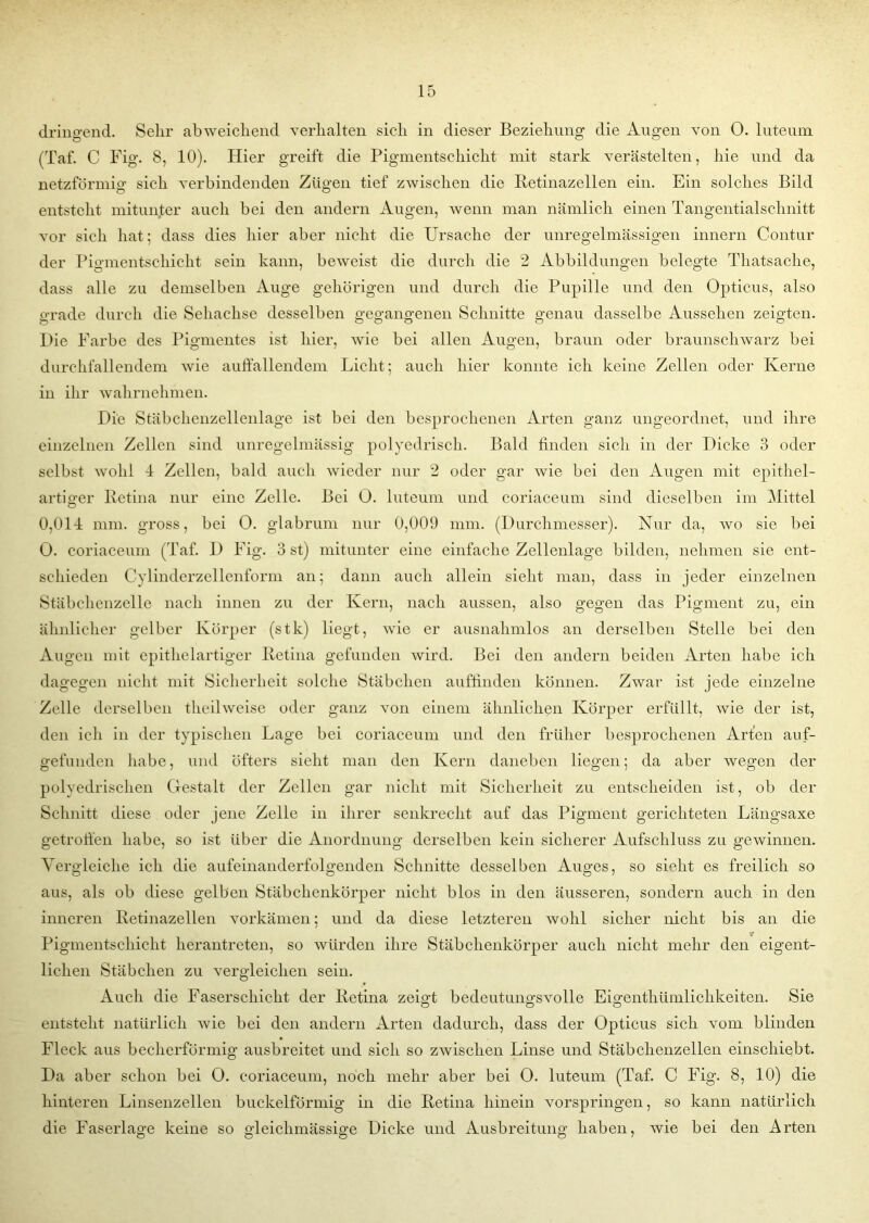 dringend. Sehr abweichend verhalten sich in dieser Beziehung die Augen von 0. luteum (Taf. C Fig. 8, 10). Hier greift die Pigmentschicht mit stark verästelten, hie und da netzförmig1 sich verbindenden Zügen tief zwischen die Retinazellen ein. Ein solches Bild entsteht mitunter auch bei den andern Augen, wenn man nämlich einen Tangentialschnitt vor sich hat; dass dies hier aber nicht die Ursache der unregelmässigen innern Contur der Pigmentschicht sein kann, beweist die durch die 2 Abbildungen belegte Thatsache, dass alle zu demselben Auge gehörigen und durch die Pupille und den Opticus, also grade durch die Sehachse desselben gegangenen Schnitte genau dasselbe Aussehen zeigten. Die Farbe des Pigmentes ist hier, wie bei allen Augen, braun oder braunschwarz bei durchfallendem Avie auffallendem Licht; auch hier konnte ich keine Zellen oder Kerne in ihr wahrnehmen. Die Stäbchenzellenlage ist bei den besprochenen Arten ganz ungeordnet, und ihre einzelnen Zellen sind unregelmässig polyedrisch. Bald finden sich in der Dicke 3 oder selbst avoIiI 4 Zellen, bald auch wieder nur 2 oder gar Avie bei den Augen mit epithel- artiger Retina nur eine Zelle. Bei O. luteum und coriaceum sind dieselben im Mittel 0,014 mm. gross, bei 0. glabrum nur 0,009 mm. (Durchmesser). Nur da, avo sie bei 0. coriaceum (Taf. D Fig. 3 st) mitunter eine einfache Zellenlage bilden, nehmen sie ent- schieden Cylinderzellenform an; dann auch allein sieht man, dass in jeder einzelnen Stäbchenzelle nach innen zu der Kern, nach aussen, also gegen das Pigment zu, ein ähnlicher gelber Körper (stk) liegt, Avie er ausnahmlos an derselben Stelle bei den Augen mit epithelartiger Retina gefunden Avird. Bei den andern beiden Arten habe ich dagegen nicht mit Sicherheit solche Stäbchen auffinden können. ZAvar ist jede einzelne Zelle derselben theilweise oder ganz \Ton einem ähnlichen Körper erfüllt, Avie der ist, den ich in der typischen Lage bei coriaceum und den früher besprochenen Arten auf- gefunden habe, und öfters sieht man den Kern daneben liegen; da aber Avegen der polyedrischen Gestalt der Zellen gar nicht mit Sicherheit zu entscheiden ist, ob der Schnitt diese oder jene Zelle in ihrer senkrecht auf das Pigment gerichteten Längsaxe getroffen habe, so ist über die Anordnung derselben kein sicherer Aufschluss zu gewinnen. Vergleiche ich die aufeinanderfolgenden Schnitte desselben Auges, so sieht es freilich so aus, als ob diese gelben Stäbchenkörper nicht blos in den äusseren, sondern auch in den inneren Retinazellen vorkämen; und da diese letzteren avoIiI sicher nicht bis an die Pigmentschicht herantreten, so würden ihre Stäbchenkörper auch nicht mehr den eigent- lichen Stäbchen zu Arergleiclien sein. Auch die Faserschicht der Retina zeigt bedeutung’SAmlle Eigenthümlichkeiten. Sie entsteht natürlich Avie bei den andern Arten dadurch, dass der Opticus sich vom blinden Fleck aus becherförmig ausbreitet und sich so zAvischen Linse und Stäbchenzellen einschiebt. Da aber schon bei O. coriaceum, noch mehr aber bei O. luteum (Taf. C Fig. 8, 10) die hinteren Linsenzellen buckelförmig in die Retina hinein vorspringen, so kann natürlich die Faserlage keine so gleiclimässige Dicke und Ausbreitung haben, wie bei den Arten