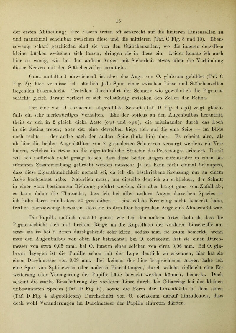 der ersten Abtheilung; ilire Fasern treten oft senkrecht auf die hinteren Linsenzellen zu und manchmal scheinbar zwischen diese und die mittleren (Taf. C Fig. 8 und 10). Eben- sowenig scharf geschieden sind sie von den Stäbchenzellen; wo die inneren derselben kleine Lücken zwischen sich lassen, dringen sie in diese ein. Leider konnte ich auch hier so wenig, wie bei den andern Augen mit Sicherheit etwas über die Verbindung dieser Nerven mit den Stäbchenzellen ermitteln. Ganz auffallend abweichend ist aber das Auge von 0. glabrum gebildet (Taf. C Fig. 2); hier vermisse ich nämlich jede Spur einer zwischen Linse und Stäbchenzellen liegenden Faserschicht. Trotzdem durchbohrt der Sehnerv wie gewöhnlich die Pigment- schicht; gleich darauf verliert er sich vollständig zwischen den Zellen der Retina. Der eine von O. coriaceum abgebildete Schnitt (Taf. D Fig. 4 opt) zeigt gleich- falls ein sehr merkwürdiges Verhalten. Ehe der opticus an den Augenbulbus herantritt, theilt er sich in 2 gleich dicke Aeste (opt und opt’), die miteinander durch das Loch in die Retina treten; aber der eine derselben biegt sich auf die eine Seite — im Bilde nach rechts — der andre nach der andern Seite (links hin) über. Es scheint also, als ob hier die beiden Augenhälften von 2 gesonderten Sehnerven versorgt werden; ein Ver- halten, welches in etwas an die eigentümliche Structur des Pectenauges erinnert. Damit will ich natürlich nicht gesagt haben, dass diese beiden Augen miteinander in einen be- stimmten Zusammenhang gebracht werden müssten; ja ich kann nicht einmal behaupten, dass diese Eigentümlichkeit normal sei, da ich die beschriebene Kreuzung nur an einem Auge beobachtet habe. Natürlich muss, um dieselbe deutlich zu erblicken, der Schnitt in einer ganz bestimmten Richtung geführt werden, dies aber hängt ganz vom Zufall ab; es kann daher die Thatsache, dass ich bei allen andern Augen derselben Species — ich habe deren mindestens 20 geschnitten — eine solche Kreuzung nicht bemerkt habe, freilich ebensowenig beweisen, dass sie in dem hier besprochen Auge eine Abnormität war. Die Pupille endlich entsteht genau wie bei den andern Arten dadurch, dass die Pigmentschicht sich mit breitem Ringe an die Kapselhaut der vorderen Linsenzelle an- setzt; sie ist bei 2 Arten durchgeliends sehr klein, sodass man sie kaum bemerkt, wenn man den Augenbulbus von oben her betrachtet; bei 0. coriaceum hat sie einen Durch- messer von etwa 0,05 mm., bei 0. luteum einen solchen von circa 0,06 mm. Bei 0. gla- brum dagegen ist die Pupille schon mit der Lupe deutlich zu erkennen, hier hat sie einen Durchmesser von 0,09 mm. Bei keinem der hier besprochenen Augen habe ich eine Spur von Sphincteren oder anderen Einrichtungen,' durch welche vielleicht eine Er- weiterung oder Verengerung der Pupille hätte bewirkt werden können, bemerkt. Doch scheint die starke Einschnürung der vorderen Linse durch den Ciliarring bei der kleinen unbestimmten Species (Taf. D Fig. 6), sowie die Form der Linsenhöhle in dem einen (Taf. D Fig. 4 abgebildeten) Durchschnitt von O. coriaceum darauf hinzudeuten, dass doch wohl Veränderungen im Durchmesser der Pupille eintreten dürften.