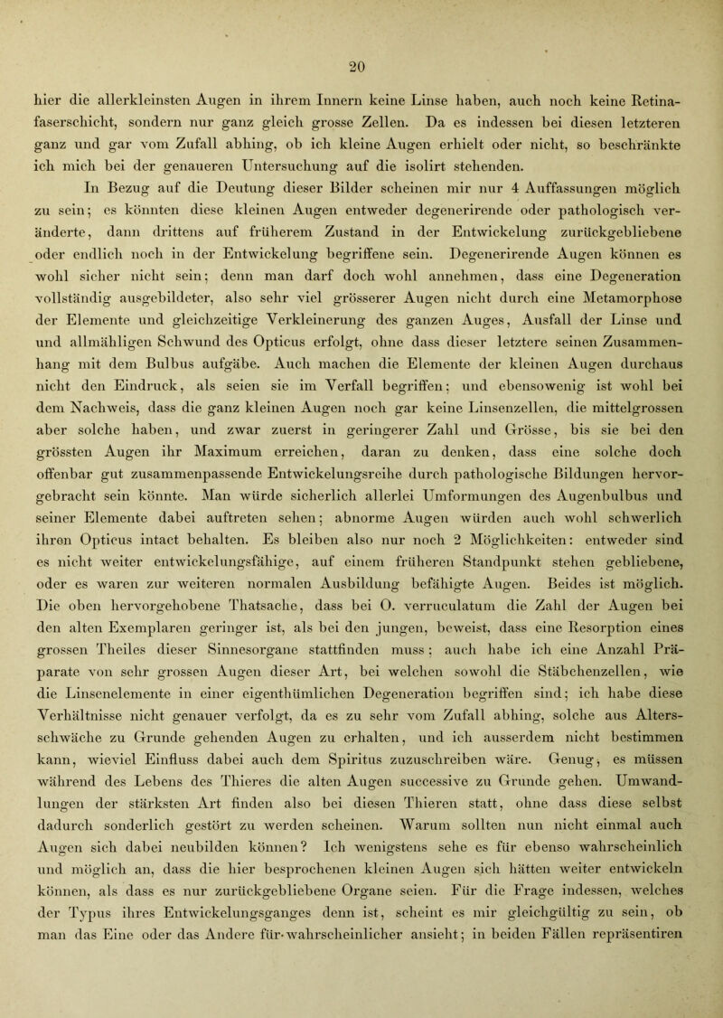 hier die allerkleinsten Augen in ihrem Innern keine Linse haben, auch noch keine Retina- faserschicht, sondern nur ganz gleich grosse Zellen. Da es indessen bei diesen letzteren ganz und gar vom Zufall abhing, ob ich kleine Augen erhielt oder nicht, so beschränkte ich mich bei der genaueren Untersuchung auf die isolirt stehenden. In Bezug auf die Deutung dieser Bilder scheinen mir nur 4 Auffassungen möglich zu sein; es könnten diese kleinen Augen entweder degenerirende oder pathologisch ver- änderte, dann drittens auf früherem Zustand in der Entwickelung zurückgebliebene oder endlich noch in der Entwickelung begriffene sein. Degenerirende Augen können es wohl sicher nicht sein; denn man darf doch wohl annehmen, dass eine Degeneration vollständig ausgebildeter, also sehr viel grösserer Augen nicht durch eine Metamorphose der Elemente und gleichzeitige Verkleinerung des ganzen Auges, Ausfall der Linse und und allmähligen Schwund des Opticus erfolgt, ohne dass dieser letztere seinen Zusammen- hang mit dem Bulbus aufgäbe. Auch machen die Elemente der kleinen Augen durchaus nicht den Eindruck, als seien sie im Verfall begriffen; und ebensowenig ist wohl bei dem Nachweis, dass die ganz kleinen Augen noch gar keine Linsenzellen, die mittelgrossen aber solche haben, und zwar zuerst in geringerer Zahl und Grösse, bis sie bei den grössten Augen ihr Maximum erreichen, daran zu denken, dass eine solche doch offenbar gut zusammenpassende Entwickelungsreihe durch pathologische Bildungen hervor- gebracht sein könnte. Man würde sicherlich allerlei Umformungen des Augenbulbus und seiner Elemente dabei auftreten sehen; abnorme Augen würden auch wohl schwerlich ihren Opticus intact behalten. Es bleiben also nur noch 2 Möglichkeiten: entweder sind es nicht weiter ent wickelungsfähige, auf einem früheren Standpunkt stehen gebliebene, oder es waren zur weiteren normalen Ausbildung befähigte Augen. Beides ist möglich. Die oben hervorgehobene Thatsache, dass bei 0. verruculatum die Zahl der Augen bei den alten Exemplaren geringer ist, als bei den jungen, beweist, dass eine Resorption eines grossen Theiles dieser Sinnesorgane stattfinden muss ; auch habe ich eine Anzahl Prä- parate von sehr grossen Augen dieser Art, bei welchen sowohl die Stäbchenzellen, wie die Linsenelemente in einer eigenthümlichen Degeneration begriffen sind; ich habe diese Verhältnisse nicht genauer verfolgt, da es zu sehr vom Zufall abhing, solche aus Alters- schwäche zu Grunde gehenden Augen zu erhalten, und ich ausserdem nicht bestimmen kann, wieviel Einfluss dabei auch dem Spiritus zuzuschreiben wäre. Genug, es müssen während des Lebens des Thieres die alten Augen successive zu Grunde gehen. Umwand- lungen der stärksten Art finden also bei diesen Thieren statt, ohne dass diese selbst dadurch sonderlich gestört zu werden scheinen. Warum sollten nun nicht einmal auch Aimen sich dabei neubilden können? Ich wenigstens sehe es für ebenso wahrscheinlich und möglich an, dass die hier besprochenen kleinen Augen sich hätten weiter entwickeln können, als dass es nur zurückgebliebene Organe seien. Für die Frage indessen, welches der Typus ihres Entwickelungsganges denn ist, scheint es mir gleichgültig zu sein, ob man das Eine oder das Andere für-wahrscheinlicher ansieht; in beiden Fällen repräsentiren