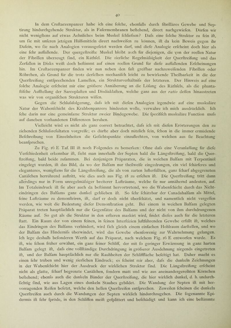In dem Cruftaceenpanzer habe ich eine folche, ebenfalls durch fibrilläres Gewebe und Sep- tirung hindurchgehende Struktur, als in Fafermembranen beftehend, direct nachgewiefen. Dürfen wir nicht wenigftens auf etwas Aehnliches beim Muskel fchliefsen ? Dafs eine folche Struktur zu fein ift, um fie mit unferen jetzigen Htilfsmitteln direct nachweifen zu können, ift da kein Beweis gegen ihr Dafein, wo fie nach Analogien vorausgefetzt werden darf, und diefe Analogie erfcheint doch hier als eine fehr auffallende. Der quergeftreifte Muskel bleibt auch für diejenigen, die yon der reellen Natur der Fibrillen überzeugt find, ein Räthfel. Die zierliche Regelmäfsigkeit der Querftreifung und das Zerfallen in Disks weift doch beftimmt auf einen reellen Grund für diefe auffallenden Erfcheinunp;en hin. Im Cruftaceenpanzer finden wir nun neben den faft greifbar nachzuweifenden Fibrillen oder Röhrchen, als Grund für die trotz derfelben mechanifch leicht zu bewirkende Theilbarkeit in die der Querftreifung entfprechenden Lamellen, ein Strukturverhältnifs der letzteren. Der Hinweis auf eine folche Analogie erfcheint mir eine gröfsere Annäherung an die Löfung des Räthfels, als die phanta- ftifche Aufftellung der Sarcoplaften und Disdiaklaften, welche ganz aus der ratio deffen hinaustreten was wir von organifchen Strukturen wiffen. Gegen die Schlufsfolgerung, dafs ich mit diefen Analogien irgendwie auf eine muskuläre Natur der Wabenfchicht des Krabbenpanzers hindeuten wolle, verwahre ich mich ausdrücklich. Ich fehe darin nur eine gemeinfame Struktur zweier Bindegewebe. Die fpecififch muskuläre Function mufs auf daneben vorhandenen Differenzen beruhen. Vielleicht wird es nicht als ganz correct betrachtet, dafs ich mit diefen Erörterungen den zu ziehenden Schlufsrefultaten vorgreife; es dürfte aber doch nützlich fein, fchon in die immer ermüdende Befchreibung von Einzelnheiten die Gefichtspunkte einzuflechten, von welchen aus fie Beachtung beanfpruchen. Zu Fig. 16 E Taf. III ift noch Folgendes zu bemerken: Ohne dafs eine Veranlaffung für diefe Verfchiedenheit erkennbar ift, fieht man innerhalb der Septen bald die Längsftreifung, bald die Quer- ftreifung, bald beide zufammen. Bei denjenigen Präparaten, die in weichen Balfam mit Terpentinöl eingelegt wurden, ift das Bild, da wo der Balfam nur theilweife eingedrungen, ein viel fchärferes und eleganteres, wenigftens für die Längsftreifung, die als von zarten lufterfüllten, ganz fcharf abgegrenzten Canälchen herrührend auftritt, wie dies auch aus Fig. 18 zu erfehen ift. Die Querftreifung tritt dann allerdings nur in Form unregelmäfsiger breiterer Lufträume, welche fie nur annähernd andeuten, auf. Im Totaleindruck ift fie aber auch da beftimmt hervortretend, wo die Wabenfchicht durch das Nicht- eindringen des Balfams ganz dunkel geblieben ift. So fehr fchätzbar der Canadabalfam als Mittel, feine Lufträume zu demonftriren, ift, darf er doch nicht überfchätzt, und namentlich nicht vergehen werden, wie weit die Bedeutung diefer Demonftration geht. Bei einem in weichen Balfam gelegten Präparat treten hauptfächlich nur die Gegenfätze des Balfams und der nicht von ihm durchdrungenen Räume auf. So gut als die Struktur in den erfteren maskirt wird, findet diefes auch für die letzteren ftatt. Ein Raum der von einem feinen, in feinen Interftizien luftführenden Gewebe erfüllt ift, welches das Eindringen des Balfams verhindert, wird fich gleich einem einfachen Hohlraum darftellen, und wo der Balfam das Hindernifs überwindet, wird das Gewebe ebenfowenig zur Wahrnehmung gelangen. Ich lege deshalb befonderen Werth auf das Präparat, nach welchem Fig. 16 E entworfen wurde. Es ift, wie fchon früher erwähnt, ein ganz feiner Schliff, der mit fo geringer Erwärmung in ganz harten Balfam gelegt ift, dafs eine vollftändige Durchdringung in gröfserer Ausdehnung nirgends eingetreten ift, und der Balfam hauptfächlich nur die Rauhheiten der Schlifffläche befeitigt hat. Daher macht es einen fehr trüben und wenig zierlichen Eindruck; es fcheint mir aber, dafs die dunkeln Zeichnungen in der Wabenfchicht hier der Ausdruck der wirklichen Struktur find. Die Längsftreifung erfcheint nicht als glatte, fcharf begrenzte Canälchen, fondern matt und wie aus aneinandergereihten Körnchen beftehend; ebenfo auch die dunkeln Bänder der Querftreifung, die hier wirklich dunkel, d. h. undurch- fichtig find, wie aus Lagen eines dunkeln Staubes gebildet. Die Wandung der Septen ift mit her- vorragenden Reifen befetzt, welche den hellen Querftreifen entfprechen. Zuweilen fcheinen die dunkeln Querftreifen auch durch die Wandungen der Septen wirklich hindurchzugehen. Die fogenannte Epi- dermis ift fehr fpröde, in den Schliffen meift gefplittert und befchädigt und kann ich eine beftimmte