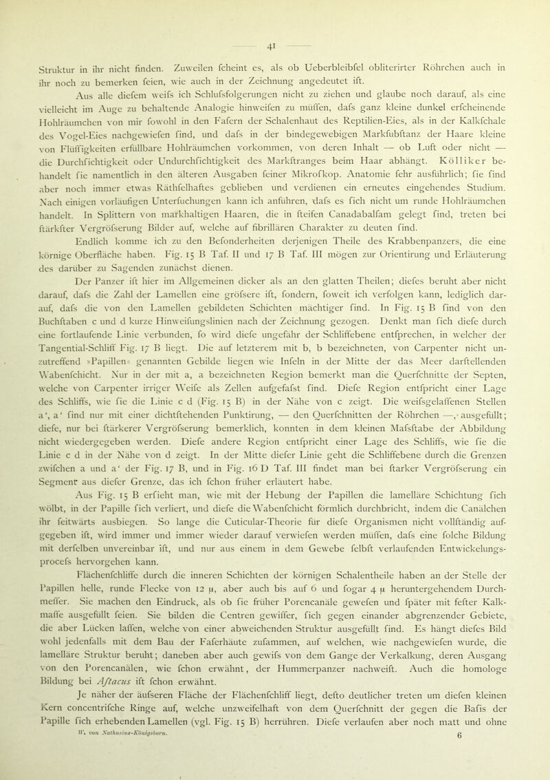 Struktur in ihr nicht finden. Zuweilen fcheint es, als ob Ueberbleibfel obliterirter Röhrchen auch in ihr noch zu bemerken feien, wie auch in der Zeichnung angedeutet ift. Aus alle diefem weifs ich Schlufsfolgerungen nicht zu ziehen und glaube noch darauf, als eine vielleicht im Auge zu behaltende Analogie hinweifen zu mliffen, dafs ganz kleine dunkel erfcheinende Hohlräumchen von mir fowohl in den Fafern der Schalenhaut des Reptilien-Eies, als in der Kalkfchale des Vogel-Eies nachgewiefen find, und dafs in der bindegewebigen Markfubftanz der Haare kleine von Flüffigkeiten erfüllbare Hohlräumchen Vorkommen, von deren Inhalt — ob Luft oder nicht — die Durchfichtigkeit oder Undurchfichtigkeit des Markftranges beim Haar abhängt. Kölliker be- handelt fie namentlich in den älteren Ausgaben feiner Mikrofkop. Anatomie fehr ausführlich; fie find aber noch immer etwas Räthfelhaftes geblieben und verdienen ein erneutes eingehendes Studium. Nach einigen vorläufigen Unterfuchungen kann ich anführen, dafs es fich nicht um runde Hohlräumchen handelt. In Splittern von markhaltigen Haaren, die in fteifen Canadabalfam gelegt find, treten bei ftärkfter Vergröfserung Bilder auf, welche auf fibrillären Charakter zu deuten find. Endlich komme ich zu den Befonderheiten derjenigen Theile des Krabbenpanzers, die eine körnige Oberfläche haben. Fig. 15 B Taf. II und 17 B Taf. III mögen zur Orientirung und Erläuterung des darüber zu Sagenden zunächst dienen. Der Panzer ift hier im Allgemeinen dicker als an den glatten Theilen; diefes beruht aber nicht darauf, dafs die Zahl der Lamellen eine gröfsere ift, fondern, foweit ich verfolgen kann, lediglich dar- auf, dafs die von den Lamellen gebildeten Schichten mächtiger find. In Fig. 15 B find von den Buchftaben c und d kurze Hinweifungslinien nach der Zeichnung gezogen. Denkt man fich diefe durch eine fortlaufende Linie verbunden, fo wird diefe ungefähr der Schliffebene entfprechen, in welcher der Tangential-Schliff Fig. 17 B liegt. Die auf letzterem mit b, b bezeichneten, von Carpenter nicht un- zutreffend »Papillen genannten Gebilde liegen wie Infein in der Mitte der das Meer darftellenden Wabenfchicht. Nur in der mit a, a bezeichneten Region bemerkt man die Querfchnitte der Septen, welche von Carpenter irriger Weife als Zellen aufgefafst find. Diefe Region entfpricht einer Lage des Schliffs, wie fie die Linie c d (Fig. 15 B) in der Nähe von c zeigt. Die weifsgelaffenen Stellen a', a' find nur mit einer dichtftehenden Punktirung, — den Querfchnitten der Röhrchen —,-ausgefüllt; diefe, nur bei ftärkerer Vergröfserung bemerklich, konnten in dem kleinen Mafsftabe der Abbildung nicht wiedergegeben werden. Diefe andere Region entfpricht einer Lage des Schliffs, wie fie die Linie c d in der Nähe von d zeigt. In der Mitte diefer Linie geht die Schliffebene durch die Grenzen zwifchen a und a' der Fig. 17 B, und in Fig. 16 D Taf. III findet man bei ftarker Vergröfserung ein Segment: aus diefer Grenze, das ich fchon früher erläutert habe. Aus Fig. 15 B erfieht man, wie mit der Hebung der Papillen die lamelläre Schichtung fich wölbt, in der Papille fich verliert, und diefe die Wabenfchicht förmlich durchbricht, indem die Canälchen ihr feitwärts ausbiegen. So lange die Cuticular-Theorie für diefe Organismen nicht vollftändig auf- gegeben ift, wird immer und immer wieder darauf verwiefen werden rnüffen, dafs eine folche Bildung mit derfelben unvereinbar ift, und nur aus einem in dem Gewebe felbft verlaufenden Entwickelungs- procefs hervorgehen kann. Flächenfchliffe durch die inneren Schichten der körnigen Schalentheile haben an der Stelle der Papillen helle, runde Flecke von 12 p, aber auch bis auf 6 und fogar 4 p heruntergehendem Durch- meffer. Sie machen den Eindruck, als ob fie früher Porencanäle gewefen und fpäter mit fefter Kalk- mafle ausgefüllt feien. Sie bilden die Centren gewiffer, fich gegen einander abgrenzender Gebiete, die aber Lücken laffen, welche von einer abweichenden Struktur ausgefüllt find. Es hängt diefes Bild wohl jedenfalls mit dem Bau der Faferhäute zufammen, auf welchen, wie nachgewiefen wurde, die lamelläre Struktur beruht; daneben aber auch gewifs von dem Gange der Verkalkung, deren Ausgang von den Porencanälen, wie fchon erwähnt, der Hummerpanzer nachweift. Auch die homologe Bildung bei Aftacus ift fchon erwähnt. Je näher der äufseren Fläche der Flächenfchliff liegt, defto deutlicher treten um diefen kleinen Kern concentrifche Ringe auf, welche unzweifelhaft von dem Querfchnitt der gegen die Bafis der Papille fich erhebenden Lamellen (vgl. Fig. 15 B) herrühren. Diefe verlaufen aber noch matt und ohne TI', von Xathusius-Königsborn. r>