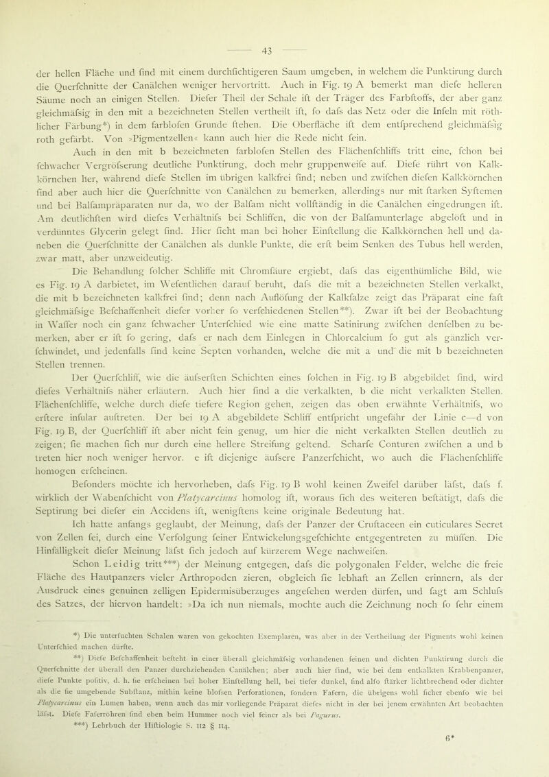 der hellen Fläche und find mit einem durchfichtigeren Saum umgeben, in welchem die Punktirung durch die Ouerfchnitte der Canälchen weniger hervortritt. Auch in Fig. 19 A bemerkt man diefe helleren Säume noch an einigen Stellen. Diefer Theil der Schale ift der Träger des Farbftoffs, der aber ganz gleichmäfsig in den mit a bezeichneten Stellen vertheilt ift, fo dafs das Netz oder die Infein mit röth- licher Färbung*) in dem farblofen Grunde ftehen. Die Oberfläche ift dem entfprechend gleichmäfsig roth o-efärbt. Von »Pisrmentzellen« kann auch hier die Rede nicht fein. Auch in den mit b bezeichneten farblofen Stellen des Flächenfchliffs tritt eine, fchon bei fchwacher Vergröfserung deutliche Punktirung, doch mehr gruppenweife auf. Diefe rührt von Kalk- körnchen her, während diefe Stellen im übrigen kalkfrei find; neben und zwifchen diefen Kalkkörnchen find aber auch hier die Ouerfchnitte von Canälchen zu bemerken, allerdings nur mit ftarken Syftemen und bei Balfampräparaten nur da, wo der Balfam nicht vollftändig in die Canälchen eingedrungen ift. Am deutlichften wird diefes Verhältnifs bei Schliffen, die von der Balfamunterlage abgelöft und in verdünntes Glycerin gelegt find. Hier fleht man bei hoher Einftellung die Kalkkörnchen hell und da- neben die Ouerfchnitte der Canälchen als dunkle Punkte, die erft beim Senken des Tubus hell werden, zwar matt, aber unzweideutig. Die Behandlung folcher Schliffe mit Chronffäure ergiebt, dafs das eigenthiimliche Bild, wie es Fig. 19 A darbietet, im Wefentlichen darauf beruht, dafs die mit a bezeichneten Stellen verkalkt, die mit b bezeichneten kalkfrei find; denn nach Auflöfung der Kalkfalze zeigt das Präparat eine faft gleichmäfsige Befchaffenheit diefer vorher fo verfchiedenen Stellen**). Zwar ift bei der Beobachtung in Waffer noch ein ganz fchwacher Unterfchied wie eine matte Satinirung zwifchen denfelben zu be- merken, aber er ift fo gering, dafs er nach dem Einlegen in Chlorcalcium fo gut als gänzlich ver- fchwindet, und jedenfalls find keine Septen vorhanden, welche die mit a und' die mit b bezeichneten Stellen trennen. Der Querfchliff, wie die äufserften Schichten eines folchen in Fig. 19 B abgebildet find, wird diefes Verhältnifs näher erläutern. Auch hier find a die verkalkten, b die nicht verkalkten Stellen. Flächenfchliffe, welche durch diefe tiefere Region gehen, zeigen das oben erwähnte Verhältnifs, wo erftere infular auftreten. Der bei 19 A abgebildete Schliff entfpricht ungefähr der Linie c—d von Fig. 19 B, der Querfchliff ift aber nicht fein genug, um hier die nicht verkalkten Stellen deutlich zu zeigen; fie machen fleh nur durch eine hellere Streifung geltend. Scharfe Conturen zwifchen a und b treten hier noch weniger hervor, e ift diejenige äufsere Panzerfchicht, wo auch die Flächenfchliffe homogen erfcheinen. Befonders möchte ich hervorheben, dafs Fig. 19 B wohl keinen Zweifel darüber läfst, dafs f. wirklich der Wabenfchicht von Platycarcinus homolog ift, woraus fleh des weiteren beftätigt, dafs die Septirung bei diefer ein Accidens ift, wenigftens keine originale Bedeutung hat. Ich hatte anfangs geglaubt, der Meinung, dafs der Panzer der Cruftaceen ein cuticulares Secret von Zellen fei, durch eine Verfolgung feiner Entwickelungsgefchichte entgegentreten zu mtiffen. Die Hinfälligkeit diefer Meinung läfst fleh jedoch auf kürzerem Wege nachweifen. Schon Leidig tritt***) der Meinung entgegen, dafs die polygonalen Felder, welche die freie Fläche des Hautpanzers vieler Arthropoden zieren, obgleich fie lebhaft an Zellen erinnern, als der Ausdruck eines genuinen zelligen Epidermisüberzuges angefehen werden dürfen, und fagt am Schliffs des Satzes, der hiervon handelt: »Da ich nun niemals, mochte auch die Zeichnung noch fo fehr einem *) Die unterfuchten Schalen waren von gekochten Exemplaren, was aber in der Vertheilung der Pigments wohl keinen Unterfchied machen dürfte. **) Diefe Befchaffenheit befteht in einer überall gleichmäfsig vorhandenen feinen und dichten Punktirung durch die Querfchnitte der überall den Panzer durchziehenden Canälchen; aber auch hier find, wie bei dem entkalkten Krabbenpanzer, diefe Punkte pofitiv, d. h. fie erfcheinen bei hoher Einftellung hell, bei tiefer dunkel, find alfo ftärker lichtbrechend oder dichter als die fie umgebende Subftanz, mithin keine blofsen Perforationen, fondern Fafern, die übrigens wohl ficher ebenfo wie bei Plcitycai'cimis ein Lumen haben, wenn auch das mir vorliegende Präparat diefes nicht in der bei jenem erwähnten Art beobachten läfst. Diefe Faferröhren find eben beim Hummer noch viel feiner als bei Pagurus. ***) Lehrbuch der Hiftiologie S. 112 § 114. 6*
