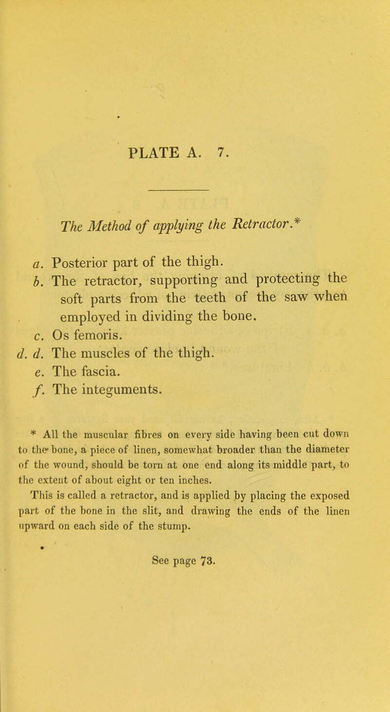 The Method of applying the Retractor* a. Posterior part of the thigh. b. The retractor, supporting and protecting the soft parts from the teeth of the saw when employed in dividing the bone. c. Os femoris. d. d. The muscles of the thigh. 6. The fascia. /. The integuments. * All the muscular fibres on every side having been cut down to the* bone, a piece of linen, somewhat broader than the diameter of the wound, should be torn at one end along its middle part, to the extent of about eight or ten inches. This is called a retractor, and is applied by placing the exposed part of the bone in the slit, and drawing the ends of the linen upward on each side of the stump. • See page 73.