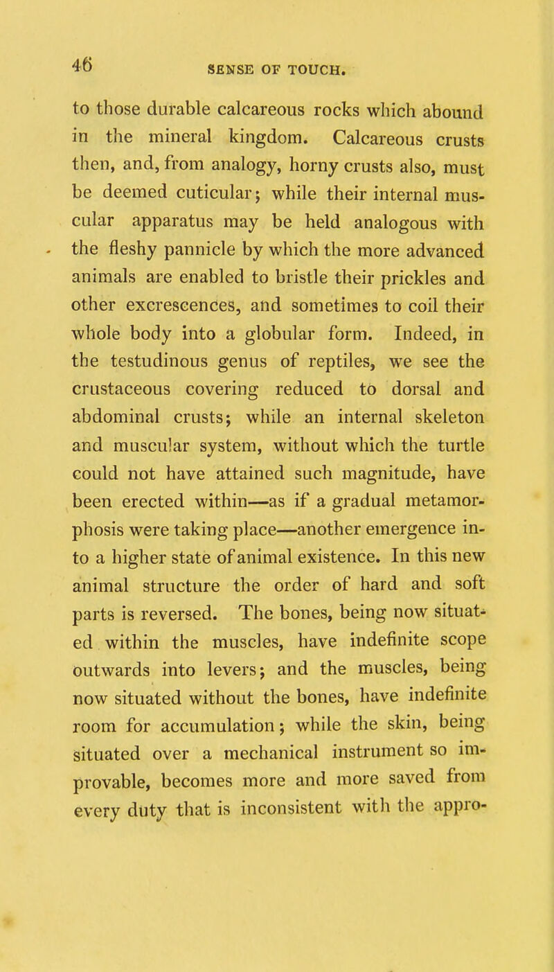 SENSE OF TOUCH. to those durable calcareous rocks which abound in the mineral kingdom. Calcareous crusts then, and, from analogy, horny crusts also, must be deemed cuticular j while their internal mus- cular apparatus may be held analogous with - the fleshy pannicle by which the more advanced animals are enabled to bristle their prickles and other excrescences, and sometimes to coil their whole body into a globular form. Indeed, in the testudinous genus of reptiles, we see the crustaceous covering reduced to dorsal and abdominal crusts; while an internal skeleton and muscular system, without which the turtle could not have attained such magnitude, have been erected within—as if a gradual metamor- phosis were taking place—another emergence in- to a higher state of animal existence. In this new animal structure the order of hard and soft parts is reversed. The bones, being now situat- ed within the muscles, have indefinite scope outwards into levers; and the muscles, being now situated without the bones, have indefinite room for accumulation; while the skin, being situated over a mechanical instrument so mi- provable, becomes more and more saved from every duty that is inconsistent with the appro-