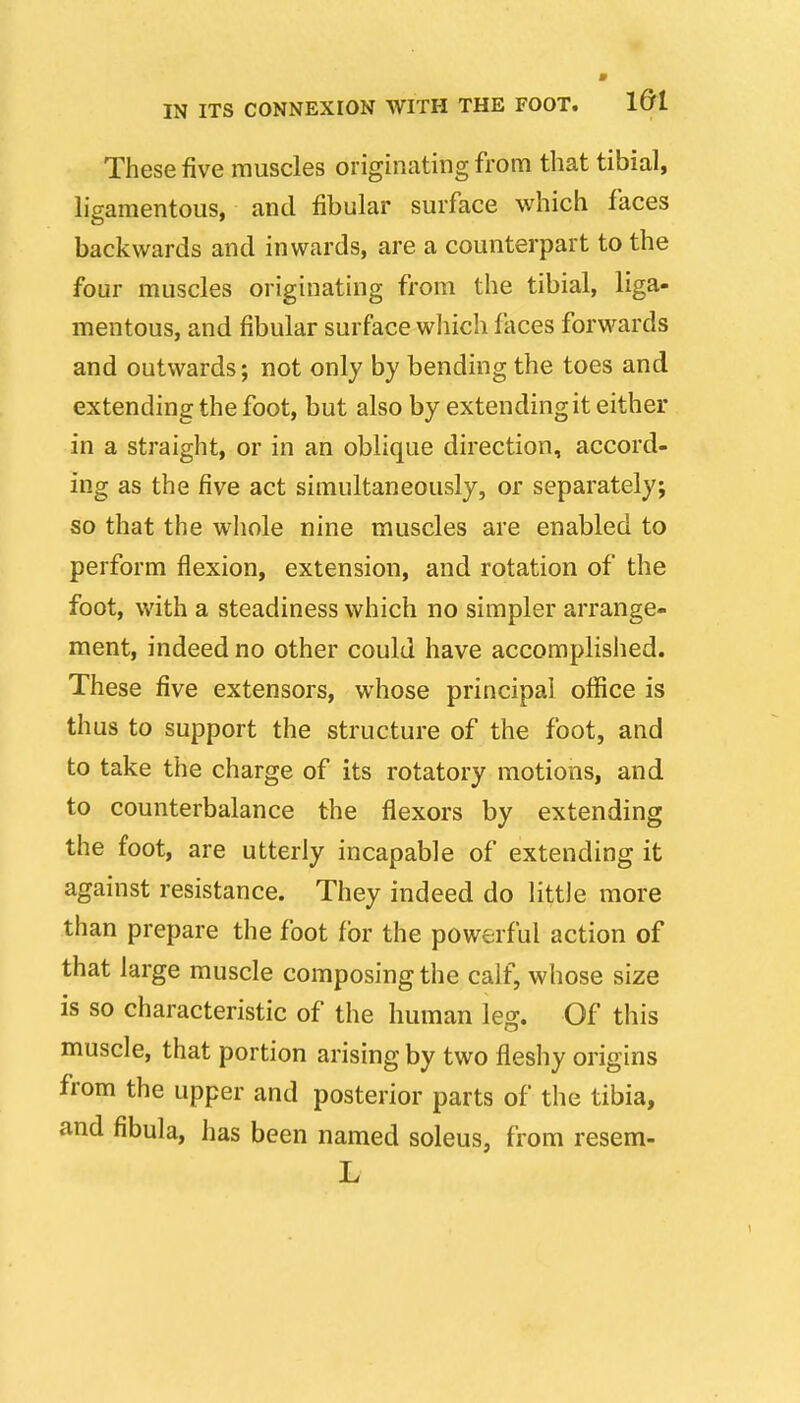 These five muscles originating from that tibial, ligamentous, and fibular surface which faces backwards and inwards, are a counterpart to the four muscles originating from the tibial, liga- mentous, and fibular surface which faces forwards and outwards; not only by bending the toes and extending the foot, but also by extending it either in a straight, or in an oblique direction, accord- ing as the five act simultaneously, or separately; so that the whole nine muscles are enabled to perform flexion, extension, and rotation of the foot, with a steadiness which no simpler arrange- ment, indeed no other could have accomplished. These five extensors, whose principal office is thus to support the structure of the foot, and to take the charge of its rotatory motions, and to counterbalance the flexors by extending the foot, are utterly incapable of extending it against resistance. They indeed do little more than prepare the foot for the powerful action of that large muscle composing the calf, whose size is so characteristic of the human leg. Of this muscle, that portion arising by two flesliy origins from the upper and posterior parts of the tibia, and fibula, has been named soleus, from resem- L