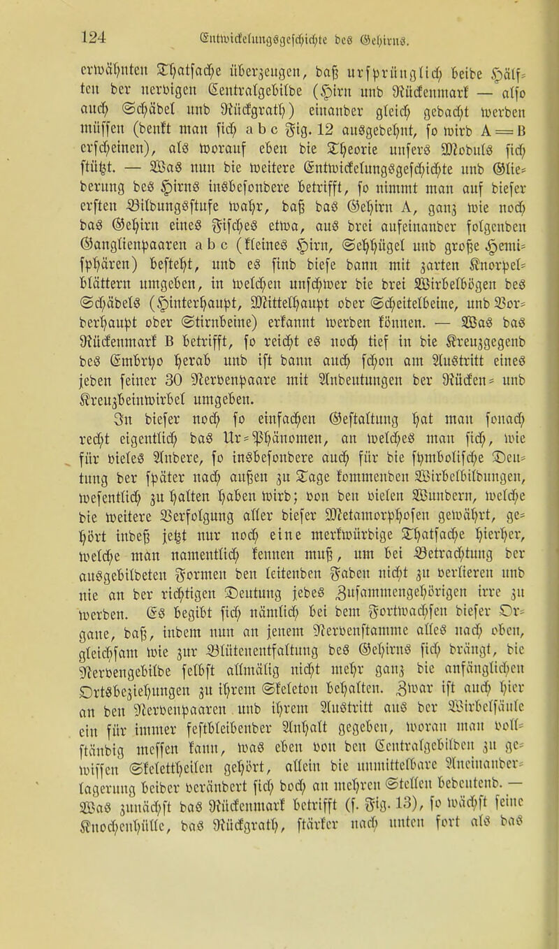 ermahnten £f;atfad;e überzeugen, baß urfprüuglid; beibe §älf* tcu bcr nerfctgen (SentratßeBttbe (§iru itnb föücfcnntarf — at[o and) @d;äbet unb 9iüdgratl)) eiuauber gleid; gebad;t »erben muffen (benf't man fid; abc $tg. 12 ausgebest, fo wirb A = B crfd;einen), als »orauf eben bie 3Tf?eorie unferS SDiobulS fid; ftüfct. — 3öa8 nun bte »eitere @nt»ideütngi3gefd;id;te unb ®üe* berung beö £irnS inSbefonbere betrifft, fo nimmt man auf biefer erften S3Ubungöftufe »afyr, baß baö ©et;irn A, gan3 tute nod; ba8 ©eljirn etneö $ifd;eö et»a, au« brei aufeinanber fotgcnben ©anglienpaaren abc (ftetneS £trn, <Seb,t;ügel unb große ^emi* frören) befielt, unb es ftnb biefe bann mit garten Knorpel* blättern umgeben, in »eld;en unfd;»er bte bret SBirbelbögeu be8 ©d;äbet$ (§>interl;aupt, ÜMttefljaupt ober (Scheitelbeine, unb23or- berijaupt ober «Stirnbeine) erfannt »erben Wunen. — 903aö bas 9?üd'enmarf B betrifft, fo reicht e8 nod; tief in bie ®reu3gegenb beö (Smbrt;o Jjerab unb tft bann aud; fd;on am Sluötritt eine« jeben feiner 30 9tobenpaare mit Stnbeutungen ber bilden = unb ^reujbeintoirbet umgeben. 3u biefer nod; fo einfachen ©eftaltung I;at mau fonad; red;t eigentüd; baS Ur = ^b,äuoinen, an »etd;eö mau fid;, tote für bteleS Rubere, fo tnöbefonbere aud; für bie ft;mbotifd;e £>eu* tuug ber fpäter nad; außen 31t £age f'ommeuben äBirbettuibungen, »efenttid; 31t I;alten f;aben»irb; t-on beu oielen SÖuubern, »dd;e bie »eitere Verfolgung aller biefer ÜDZetamorpljofen ge»ät;rt, ge* fyört tnbeß je^t nur nod; eine merftoürbtge £fyatfad;e t;ierl;er, »eld>e man nameutüd; femten muß, um bei £*etrad;tung bcr auSgebilbeten formen ben teitenben $abeu nid;t 31t oertiereu unb nie an ber richtigen ©eutung jebes .gufammengefjörigen irre 31t »erben. ©8 begibt fid; nämlid; bei bem gort»ad;feu biefer Dr* gaue, baß, inbem nun an jenem 9?erbenftamme afleö nad; oben, gtetcbfant »ie 3111* SBtüteuentfaltuug be8 ©elumS fid; brängt, bie g^erbengebitbe fetbft aßmäüg nid;t met;r gang bie anfänglichen SDrtöbcsieljuugen 3U ifyrem ©Metou begatten. 3»ar ift and; l;iov an ben 91eroenpaaren. unb it;rem Hu«Mti au« bcr SßteMfäitfe ein für immer feftbletbenber Stnljalt gegeben, »'dran mau bott* ftänbig mcffen fann, »aö eben »ou ben ecntraTgebitbcu 31t gc= »iffcn ©fctettt;ei(cn gebart, aflein bie uuiuittetbarc Sfncütanb« tagerung bciber ocränbcrt fid; bod; au mdjrcu (Stetten bebcutenb. — 2BaS 3ttnäd;ft ba$ Wtdenntart betrifft (f. gig. 13), fo »äd;ft feine ^nod;cut;ü«c, baö 9iüdgratt;, ftärfer imd> unten fort afe baö