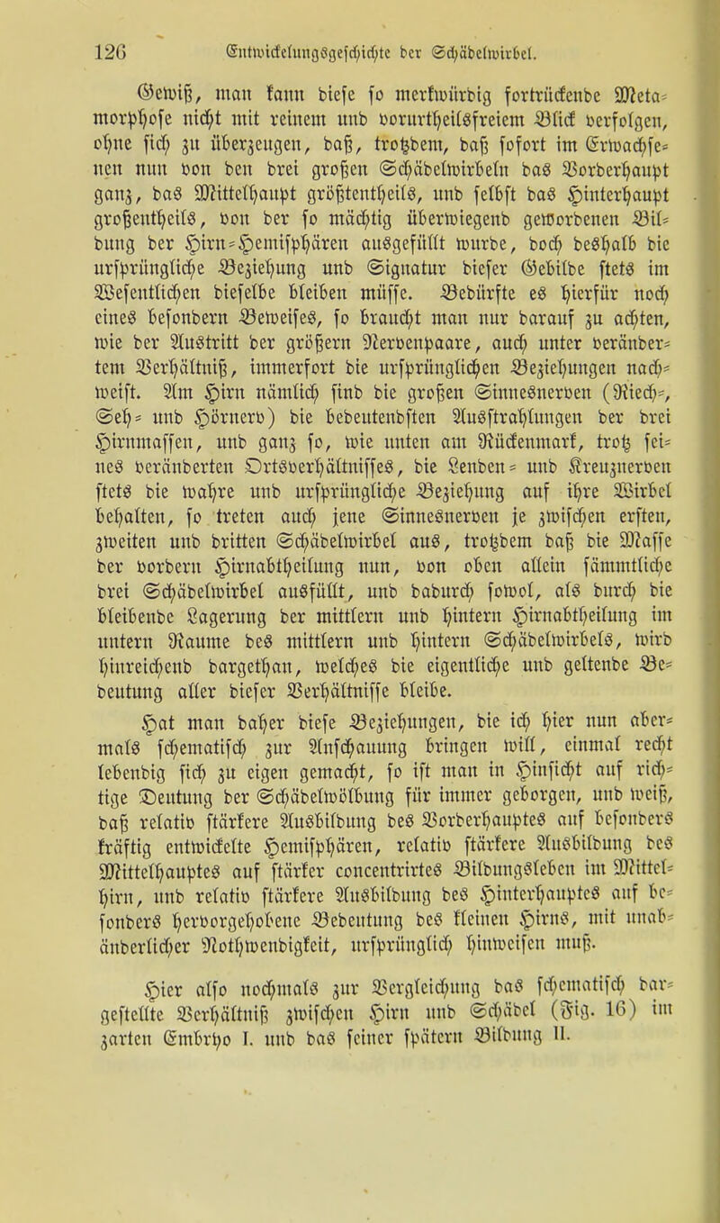 ©etoiß, mau tarnt biefe fo merfunirbtg fortrücfenbe 9ßeta^ morpfyofe nid;t mit reinem unb oorurtfjettgfreiem ©tief »erfolgen, ofme ftd; ju überzeugen, baß, trofcbem, baß fofort im @rh)ad;fe= neu nun bon ben brei großen ©d;äbcltt>irbeln baö 33orberf;aupt ganj, baS ÜKttteujaupt größtenteils, unb felbft baS £interfjaupt großenteils, bon ber fo mächtig übertoiegenb geworbenen $8iU bung ber §irU'§emif^ären ausgefüllt tourbe, boefy beSfjalb bic urtyrüngltd;e iöejtefmng unb «Signatur biefer Ökbilbe ftetS im Sefentltcfyen biefelbe bleiben muffe. «ebürfte eS hierfür nod) eines befonbern 33eft>eifeS, fo brauet mau nur barauf ju ad;ten, nüe ber Austritt ber größern Sfterbenpaare, aud; unter berä'nber* tem 23erl}ältniß, immerfort bie urfprünglicfyen ^egietningen nadj* roetft. Stm §irn nämltd) finb bie großen ©inneSnerben (9?iedj=> ©ety* unb §örnero) bie bebeutenbften 21uSftraf)lungen ber brei Spirnmaffen, unb ganj fo, toie unten am Dmdenmarf, trofc fei= neS beränberten DrtSbertyältntffeS, bie Senben* unb $reu3tterben ftetö bie tt>af)re unb urfbrünglid;e -SSegiefyung auf ü)re SSirbcI behalten, fo treten aud; jene ©inneSneroen je gtoifc^en erften, gleiten unb britten ©cfyäbelttnrbel aus, tro^bem baß bie Sftaffe ber borbern ^irnabtlj eilung nun, bon oben allein fämmtltd;e brei ©c^belmirbel ausfüllt, unb baburd) forool, als burd; bie bleibenbe Sagerang ber mittlem unb Lintern £)irnabu)eilung im untern Zäunte beS mittlem unb tnntern ©cl/äbelttnrbels, Wirb I)tnretd;enb bargetfjan, meines bie eigentliche unb geltenbe 2*e= beutung aller biefer SBerfyältniffe bleibe. §at man bafjer biefe Sesiefmngen, bie icb fn'er nun aber* malS fd;ematifd; 3itr 21nfd?auung bringen null, einmal red>t tebenbig fid) ju eigen gemad;t, fo ift man in £infid;t auf tify tige ©eutung ber ©d)äbeltoölbung für immer geborgen, unb hmjj, baß relatib ftärfere StuSbilbung beS 23orberf)autoteS auf befonberö fräftig enthndelte £emiftof)ären, retatib ftärfere SluSbtlbung bcö 9J?tttet^aupteS auf ftärfer concentrirteS 33ilbungSleben im Wiitch turn, unb relattü ftärfere StuSbtlbung beS Lintert)au^tcS auf 6e* fonberS fyerborgeljobene 33ebentung beö Keinen fjtrttS, mit unafc änberlid;er 9?otb>eubigfett, urfyrüuglid) f)mtoeifen muß. §ier atfo nod)malS jur 23ergletd;ung baS fd;cntattfd) bar* gcftcllte 23crl;ältuiß 3ti>ifd;en §iru unb ©d;äbcl ($ig. 16) int garten (Smbrtyo I. unb baS feiner Jätern «Übung II.