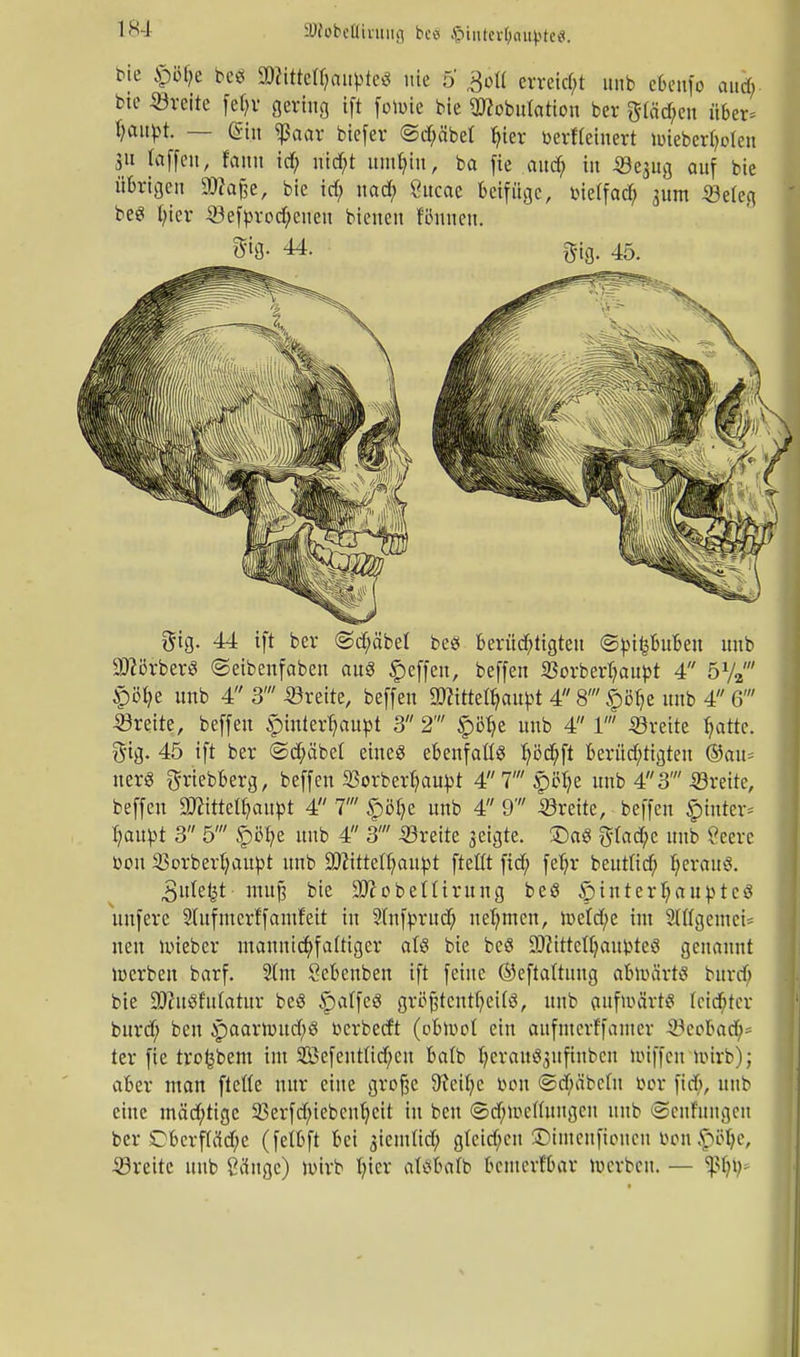 mc £b> be« aftlttefyttitytee nie 5' ,3oIf erreicht unb c6cufo and) Mc «reite fefyr gering ift fotoie bie Stfobutation ber gtäd?eu über= §Mpt — ©in «ßaar biefer @d)äbet fyier berttemert tuieber^oten 3» jfaffen, fanu id) uid)t um^in, ba ftc aud) in «ejug auf bie übrigen $?a£e, bie id; nad; Sttcac beifüge, bielfad; 311m «ereg be« t;ier «efyrod;cueu bieuen Winten. 5tg. 44. g|g. 45. gtg. 44 ift ber (Sd;äbel beö berüebtigtett ©bifcbuBen unb üßörber« ©eibenfaben aus Reffen, beffen «orbertyaupt 4 ö1/« £öb,e unb 4 3' «reite, beffen ÜKtttetycm&t 4 8' §itye unb 4 6' «rette, beffen Hinterhaupt 3 2' £ötye unb 4 1' «reite fjatte. $ig. 45 ift ber ©d;äbel eine« ebenfalls Ijöcbjt Berüchtigten ©au* ner« $rtebberg, beffen Sßorbertyaubt 47'p^e unb 4 3'«reite, beffen atttttetyaubt 4 7' £öl;e unb 4 9' «reite, beffen $inter* tyaitbt 3 5' §>M> unb 4 3' «reite geigte, £)aS $lad;c unb Öeere boit ißorberljaupt unb Stttttettjaupt ftellt fid; fdjr beuttid) Ijeraus. ,3ulekt mufj bie SO^obettirung beö £)interl;auptc3 unferc Stufmerffantfeit in Slnfprud; nehmen, n>eld;e im SlCfgettici* neu Uueber mannidjfaltiger aU bie beö S9?ittcll;aubte8 genannt lücrben barf. 21m öcbenben ift feine ©eftaltung afctoä'rtö burd) bie aWnSfulatur be8 £alfe3 gröfjtcntljeifS, unb auftbört« letzter burd; ben apaarnntd;« berbeeft (obiuol ein aufnterffamer «eobad)* ter fie tvofebent im 2Befeutlitf;cu balb IjerattSjufinben Hüffen uürb); aber man fteffe nur eine große 9?cil;c bon ©dja'beln bor fid;, unb eine mäd;tige 23erfd;iebcnl;cü in ben ©d;ioc(luugen unb (Senntngen ber £bcrpd;e (felbft bei jiemltd) gleichen SDtmenftonen bon ^Blje, «reite unb Sänge) luirb fyier atSBtrlb bcmerf'bar ipetben. — ?ßljb*