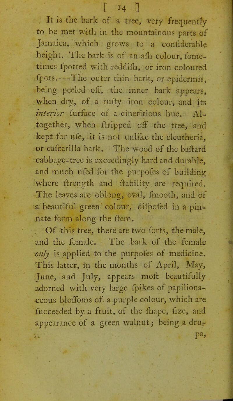 [ * ] It is the bark of a tree, very frequently to be met with in the mountainous parts of Jamaica, which grows to a confiderable height. The bark is of an am colour, fome- times fpotted with reddilh, or iron coloured fpots.—The outer thin bark, or epidermis, being peeled off, the inner bark appears, when dry, of a rutty iron colour, and its interior furface of a cineritious hue. Al- together, when Gripped off the tree, and kept for ufe, it is not unlike the eleutheria, or cafcarilla bark. The wood of the baftard cabbage-tree is exceedingly hard and durable, and much ufed for the purpofes of building where ftrength and liability are required. The leaves are oblong, oval, fmooth, and of a beautiful green colour, difpofed in a pin- nate form along the ftem. Of this tree, there are two forts, the male, and the female. The bark of the female only is applied to the purpofes of medicine. This latter, in the months of April, May, June, and July, appears molt beautifully adorned with very large fpikes of papiliona- ceous bloffoms of a purple colour, which are fucceeded by a fruit, of the fhape, fize, and appearance of a green walnut; being a drur