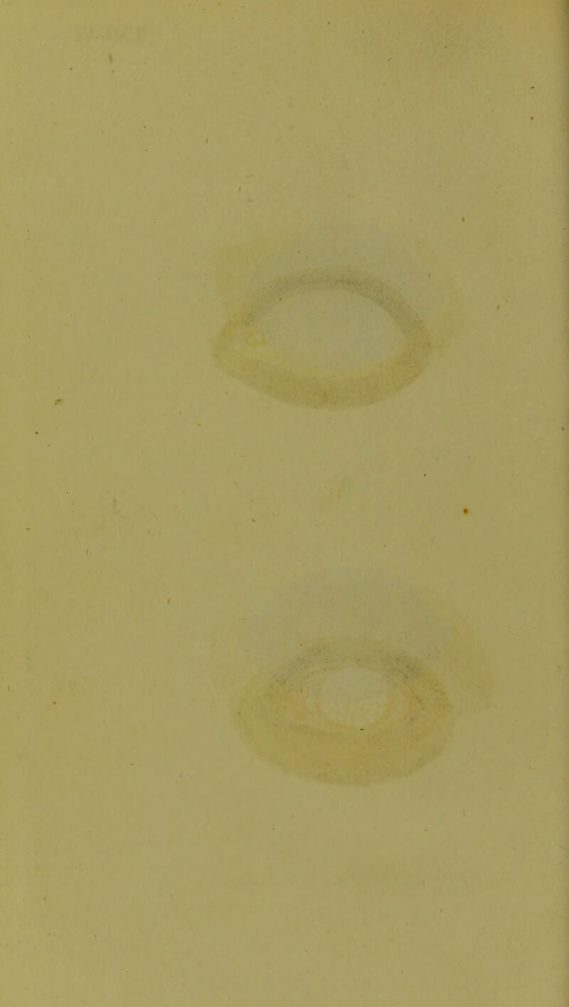 ! / / \ y i ■ \ I \ ] *