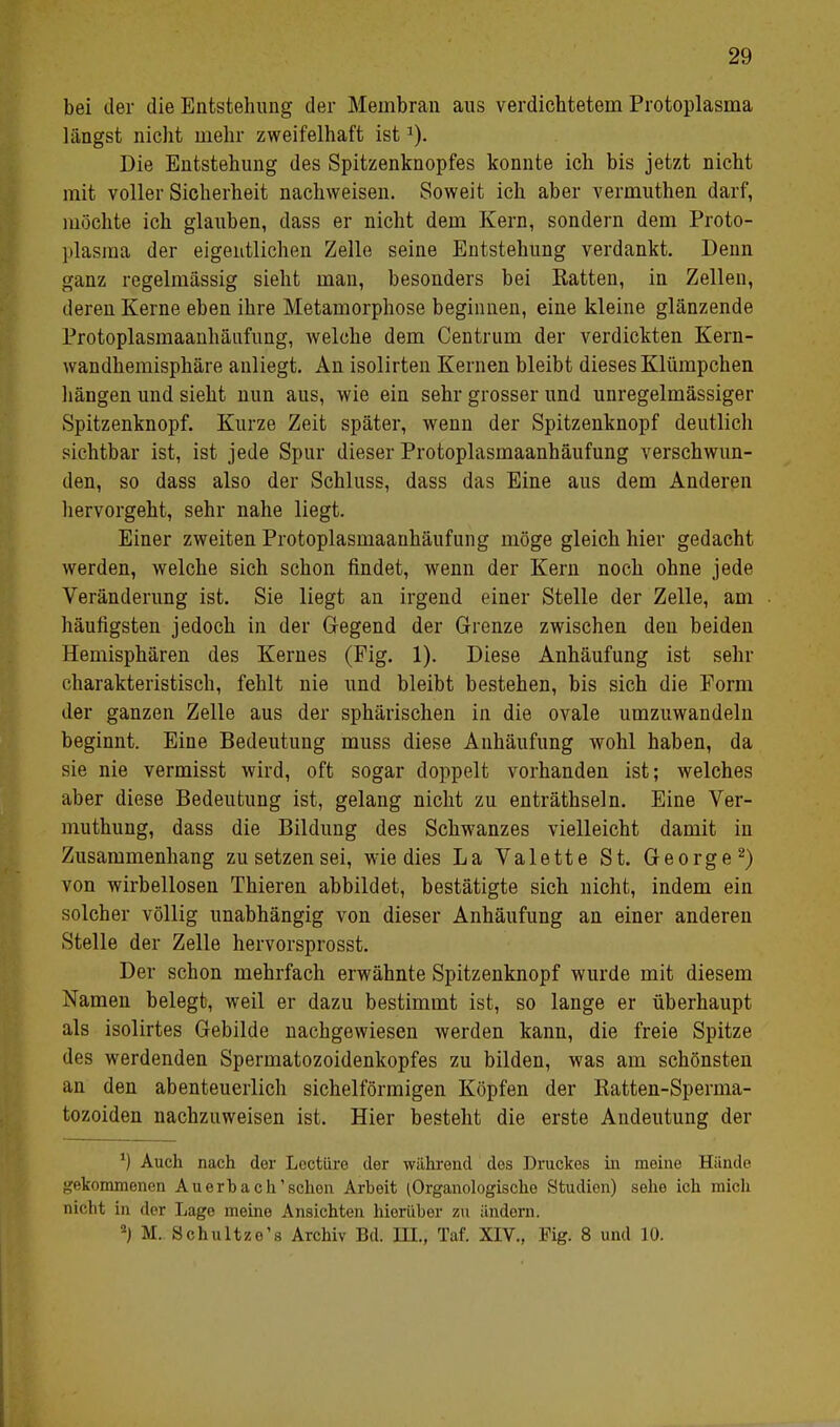 bei der die Entstehung der Membran aus verdichtetem Protoplasma längst nicht mehr zweifelhaft istJ). Die Entstehung des Spitzenknopfes konnte ich bis jetzt nicht mit voller Sicherheit nachweisen. Soweit ich aber vermuthen darf, möchte ich glauben, dass er nicht dem Kern, sondern dem Proto- plasma der eigentlichen Zelle seine Entstehung verdankt. Denn ganz regelmässig sieht man, besonders bei Ratten, in Zellen, deren Kerne eben ihre Metamorphose beginnen, eine kleine glänzende Protoplasmaanhäivfung, welche dem Centrum der verdickten Kern- wandhemisphäre anliegt. An isolirten Kernen bleibt dieses Klümpchen hängen und sieht nun aus, wie ein sehr grosser und unregelmässiger Spitzenknopf. Kurze Zeit später, wenn der Spitzenknopf deutlich sichtbar ist, ist jede Spur dieser Protoplasmaanhäufung verschwun- den, so dass also der Schluss, dass das Eine aus dem Anderen hervorgeht, sehr nahe liegt. Einer zweiten Protoplasmaanhäufung möge gleich hier gedacht werden, welche sich schon findet, wenn der Kern noch ohne jede Veränderung ist. Sie liegt an irgend einer Stelle der Zelle, am häufigsten jedoch in der Gegend der Grenze zwischen den beiden Hemisphären des Kernes (Fig. 1). Diese Anhäufung ist sehr charakteristisch, fehlt nie und bleibt bestehen, bis sich die Form der ganzen Zelle aus der sphärischen in die ovale umzuwandeln beginnt. Eine Bedeutung muss diese Anhäufung wohl haben, da sie nie vermisst wird, oft sogar doppelt vorhanden ist; welches aber diese Bedeutung ist, gelang nicht zu enträthseln. Eine Ver- muthung, dass die Bildung des Schwanzes vielleicht damit in Zusammenhang zu setzen sei, wie dies La Valette St. George2) von wirbellosen Thieren abbildet, bestätigte sich nicht, indem ein solcher völlig unabhängig von dieser Anhäufung an einer anderen Stelle der Zelle hervorsprosst. Der schon mehrfach erwähnte Spitzenknopf wurde mit diesem Namen belegt, weil er dazu bestimmt ist, so lange er überhaupt als isolirtes Gebilde nachgewiesen werden kann, die freie Spitze des werdenden Spermatozoidenkopfes zu bilden, was am schönsten an den abenteuerlich sichelförmigen Köpfen der Ratten-Sperma- tozoiden nachzuweisen ist. Hier besteht die erste Andeutung der *) Auch nach der Loctiire der während dos Druckes in moine Hände gekommenen Auerhach'schon Arbeit (Organologische Studien) sehe ich mich nicht in der Lage meine Ansichten hierüber zu ändern. 4) M. Schultzo's Archiv Bd. III., Taf. XIV., Fig. 8 und 10.