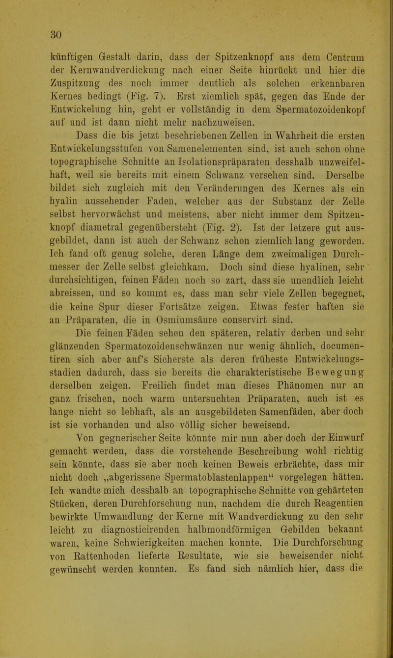 künftigen Gestalt darin, dass der Spitzenknopf ans dem Centrum der Kernwandverdickung nach einer Seite hinrückt und hier die Zuspitzung des noch immer deutlich als solchen erkennbaren Kernes bedingt (Fig. 7). Erst ziemlich spät, gegen das Ende der Entwickelung hin, geht er vollständig in dem Spermatozoidenkopf auf und ist dann nicht mehr nachzuweisen. Dass die bis jetzt beschriebenen Zellen in Wahrheit die ersten Entwickelungsstufen von Samenelementen sind, ist auch schon ohne topographische Schnitte an Isolationspräparaten desshalb unzweifel- haft, weil sie bereits mit einem Schwanz versehen sind. Derselbe bildet sich zugleich mit den Veränderungen des Kernes als ein hyalin aussehender Faden, welcher aus der Substanz der Zelle selbst hervorwächst und meistens, aber nicht immer dem Spitzen- knopf diametral gegenübersteht (Fig. 2). Ist der letzere gut aus- gebildet, dann ist auch der Schwanz schon ziemlich lang geworden. Ich fand oft genug solche, deren Länge dem zweimaligen Durch- messer der Zelle selbst gleichkam. Doch sind diese hyalinen, sehr durchsichtigen, feinen Fäden noch so zart, dass sie unendlich leicht abreissen, und so kommt es, dass man sehr viele Zellen begegnet, die keine Spur dieser Fortsätze zeigen. Etwas fester haften sie an Präparaten, die in Osmiumsäure conservirt sind. Die feinen Fäden sehen den späteren, relativ derben und sehr glänzenden Spermatozoidenschwänzen nur wenig ähnlich, documen- tiren sich aber aufs Sicherste als deren früheste Entwickelungs- stadien dadurch, dass sie bereits die charakteristische Bewegung derselben zeigen. Freilich findet man dieses Phänomen nur an ganz frischen, noch warm untersuchten Präparaten, auch ist es lange nicht so lebhaft, als an ausgebildeten Samenfäden, aber doch ist sie vorhanden und also völlig sicher beweisend. Von gegnerischer Seite könnte mir nun aber doch der Einwurf gemacht werden, dass die vorstehende Beschreibung wohl richtig sein könnte, dass sie aber noch keinen Beweis erbrächte, dass mir nicht doch „abgerissene Spermatoblastenlappen vorgelegen hätten. Ich wandte mich desshalb an topographische Schnitte von gehärteten Stücken, deren Durchforschung nun, nachdem die durch Reagentien bewirkte Umwandlung der Kerne mit Wandverdickung zu den sehr leicht zu diagnosticirenden halbmondförmigen Gebilden bekannt waren, keine Schwierigkeiten machen konnte. Die Durchforschung von Rattenhoden lieferte Resultate, wie sie beweisender nicht gewünscht werden konnten. Es fand sich nämlich hier, dass die