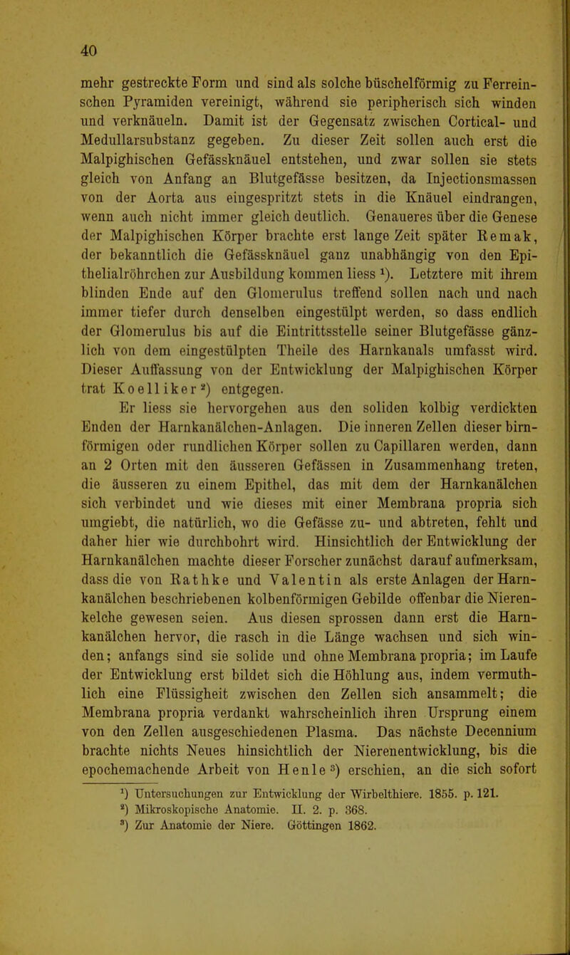mehr gestreckte Form und sind als solche büschelförmig zu Ferrein- schen Pyramiden vereinigt, während sie peripherisch sich winden und verknäueln. Damit ist der Gegensatz zwischen Cortical- und Medullarsubstanz gegeben. Zu dieser Zeit sollen auch erst die Malpighischen Gefässknäuel entstehen, und zwar sollen sie stets gleich von Anfang an Blutgefässe besitzen, da Injectionsmassen von der Aorta aus eingespritzt stets in die Knäuel eindrangen, wenn auch nicht immer gleich deutlich. Genaueres über die Genese der Malpighischen Körper brachte erst lange Zeit später Remak, der bekanntlich die Gefässknäuel ganz unabhängig von den Epi- thelialröhrchen zur Ausbildung kommen liess l). Letztere mit ihrem blinden Ende auf den Glomerulus treffend sollen nach und nach immer tiefer durch denselben eingestülpt werden, so dass endlich der Glomerulus bis auf die Eintrittsstelle seiner Blutgefässe gänz- lich von dem eingestülpten Theile des Harnkanals umfasst wird. Dieser Auffassung von der Entwicklung der Malpighischen Körper trat K o e 11 i k e r *) entgegen. Er liess sie hervorgehen aus den soliden kolbig verdickten Enden der Harnkanälchen-Anlagen. Die inneren Zellen dieser birn- förmigen oder rundlichen Körper sollen zu Capillaren werden, dann an 2 Orten mit den äusseren Gefässen in Zusammenhang treten, die äusseren zu einem Epithel, das mit dem der Harnkanälchen sich verbindet und wie dieses mit einer Membrana propria sich umgiebt, die natürlich, wo die Gefässe zu- und abtreten, fehlt und daher hier wie durchbohrt wird. Hinsichtlich der Entwicklung der Harnkanälchen machte dieser Forscher zunächst darauf aufmerksam, dass die von Rathke und Valentin als erste Anlagen der Harn- kanälchen beschriebenen kolbenförmigen Gebilde offenbar die Nieren- kelche gewesen seien. Aus diesen sprossen dann erst die Harn- kanälchen hervor, die rasch in die Länge wachsen und sich win- den; anfangs sind sie solide und ohne Membrana propria; im Laufe der Entwicklung erst bildet sich die Höhlung aus, indem vermuth- lich eine Flüssigheit zwischen den Zellen sich ansammelt; die Membrana propria verdankt wahrscheinlich ihren Ursprung einem von den Zellen ausgeschiedenen Plasma. Das nächste Decennium brachte nichts Neues hinsichtlich der Nierenentwicklung, bis die epochemachende Arbeit von Henle3) erschien, an die sich sofort J) Untersuchungen zur Entwicklung der Wirbeltkiore. 1855. p. 121. *) Mikroskopische Anatomie. II. 2. p. 368. s) Zur Anatomie der Niere. Göttingen 1862.